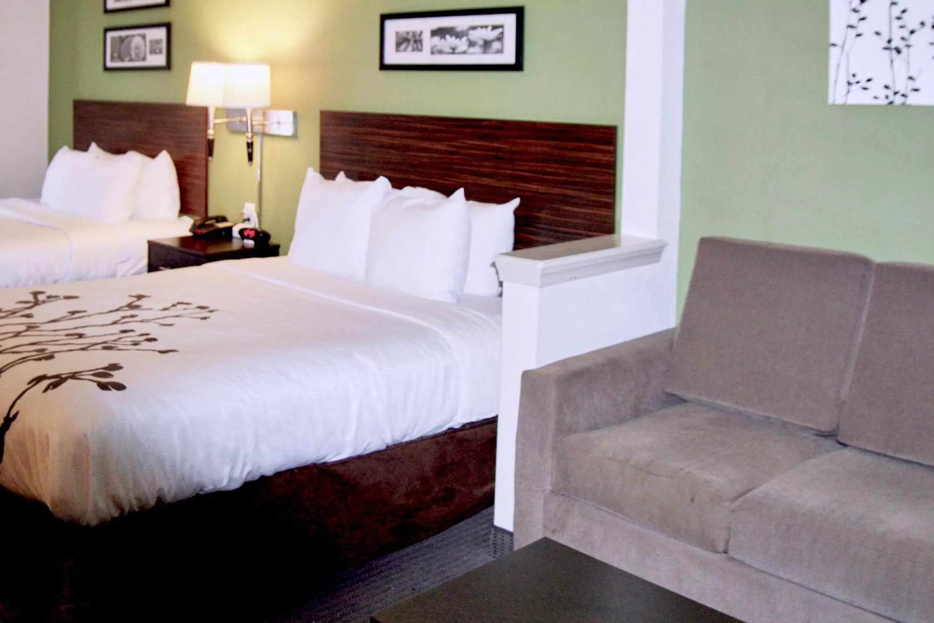 Queen Room with Two Queen Beds - Non-Smoking in Sleep Inn & Suites Stony Creek - Petersburg South Queen Room with Two Queen Beds - Non-Smoking in Sleep Inn & Suites Stony Creek - Petersburg South