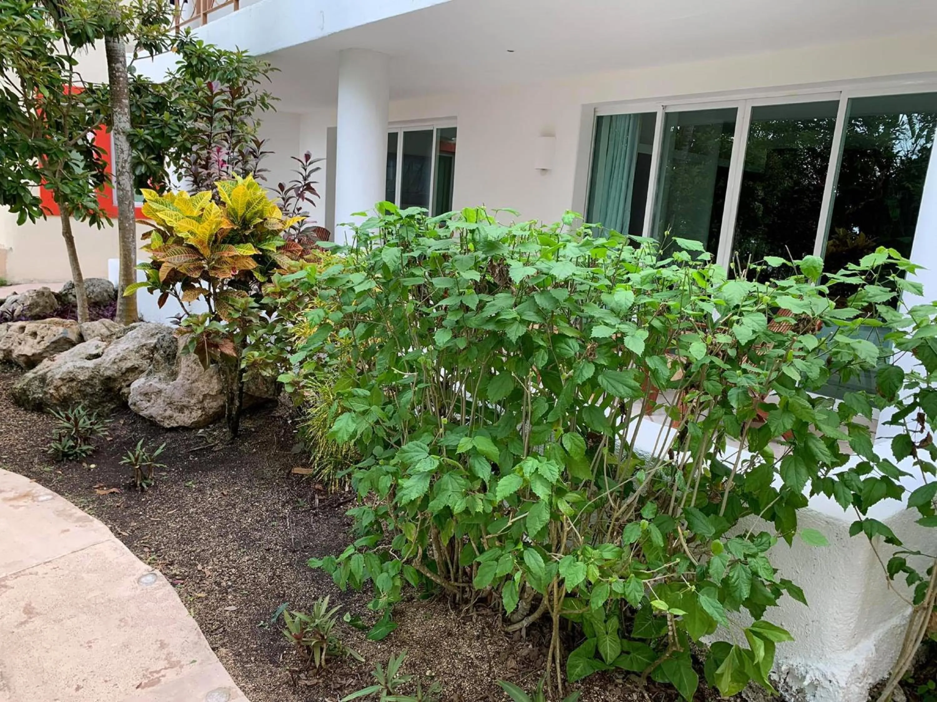 Area and facilities in Villas Bakalar