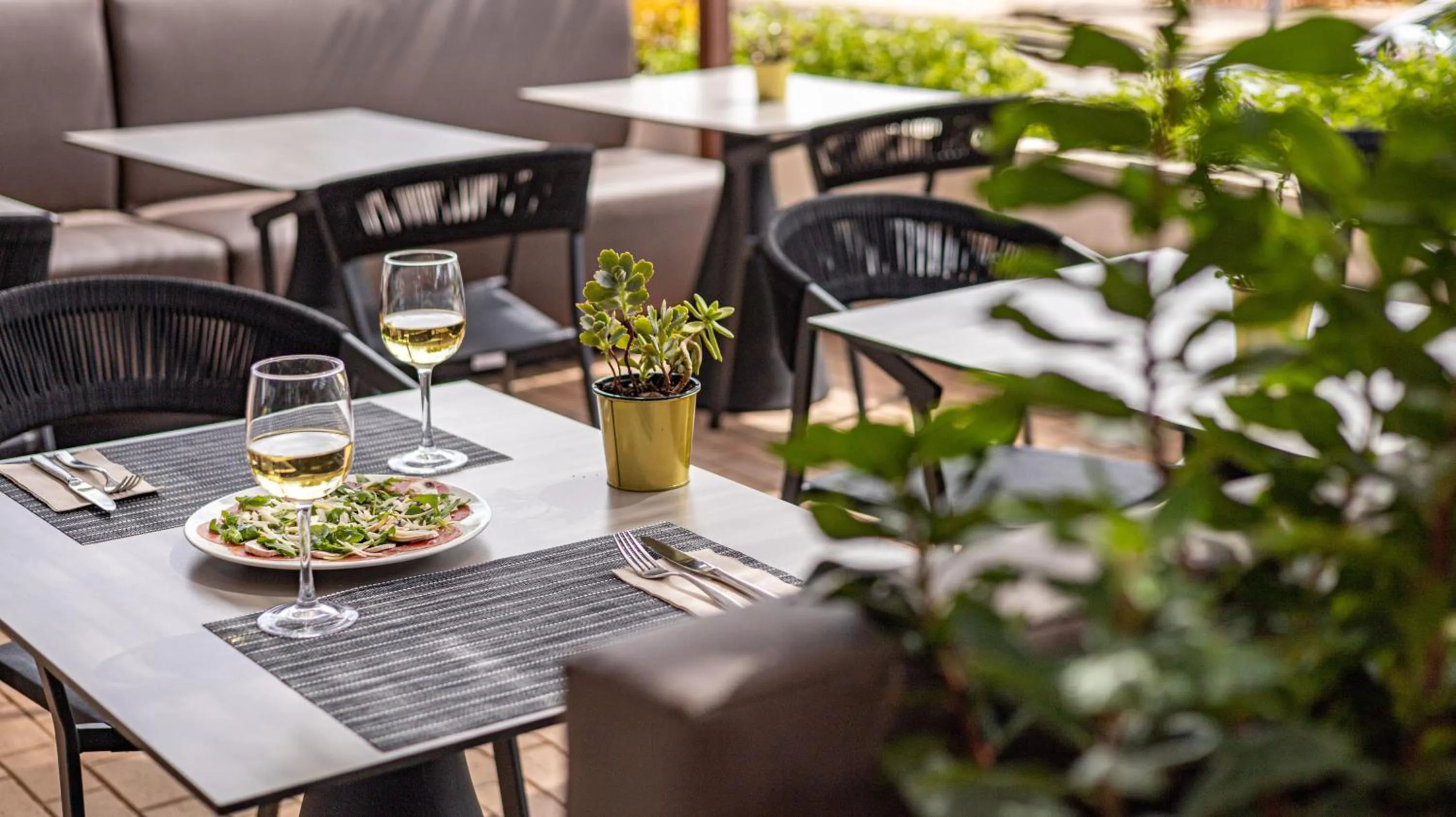 Lounge or bar in Seth Port Ciutadella