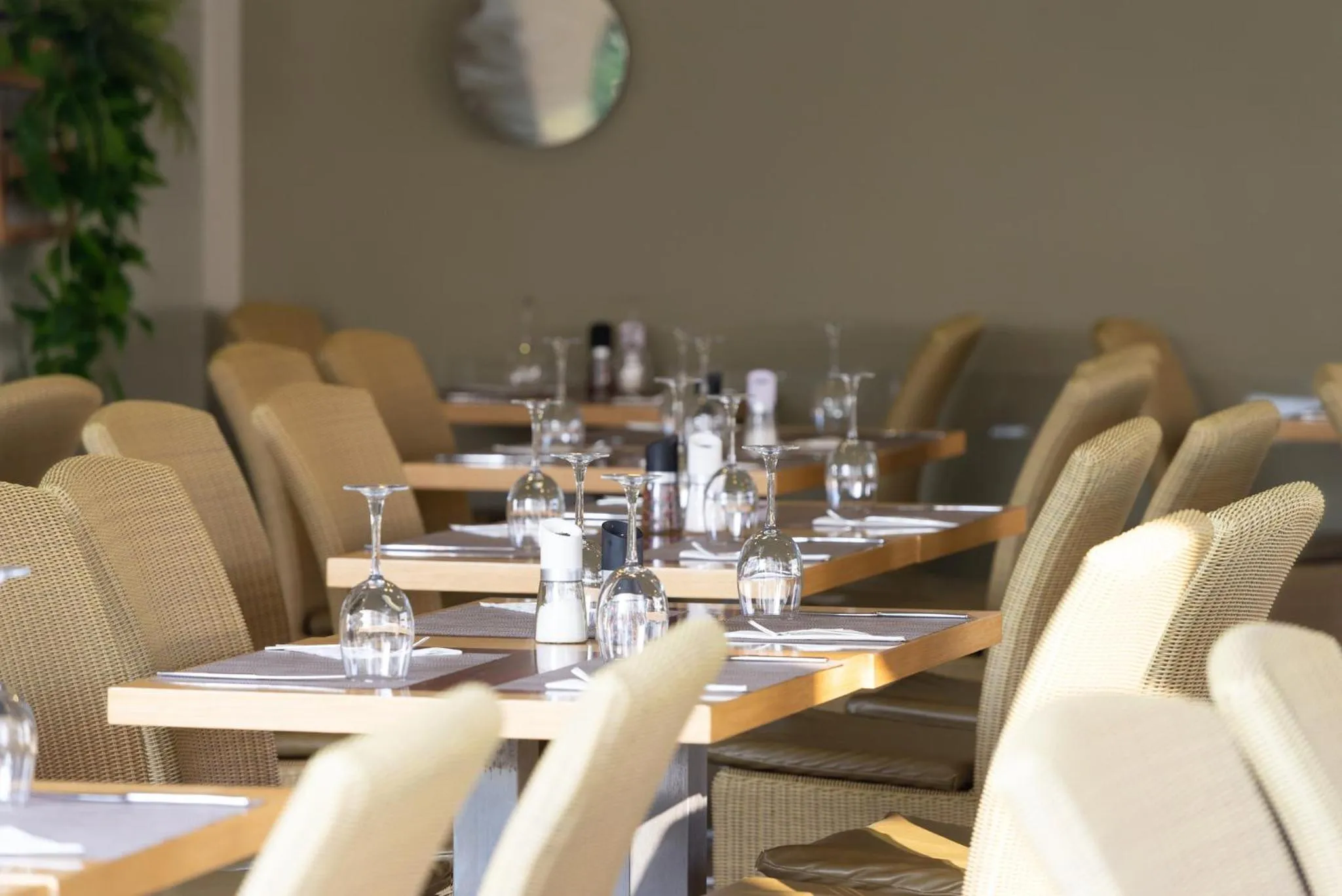 Restaurant/places to eat in Flegra Palace