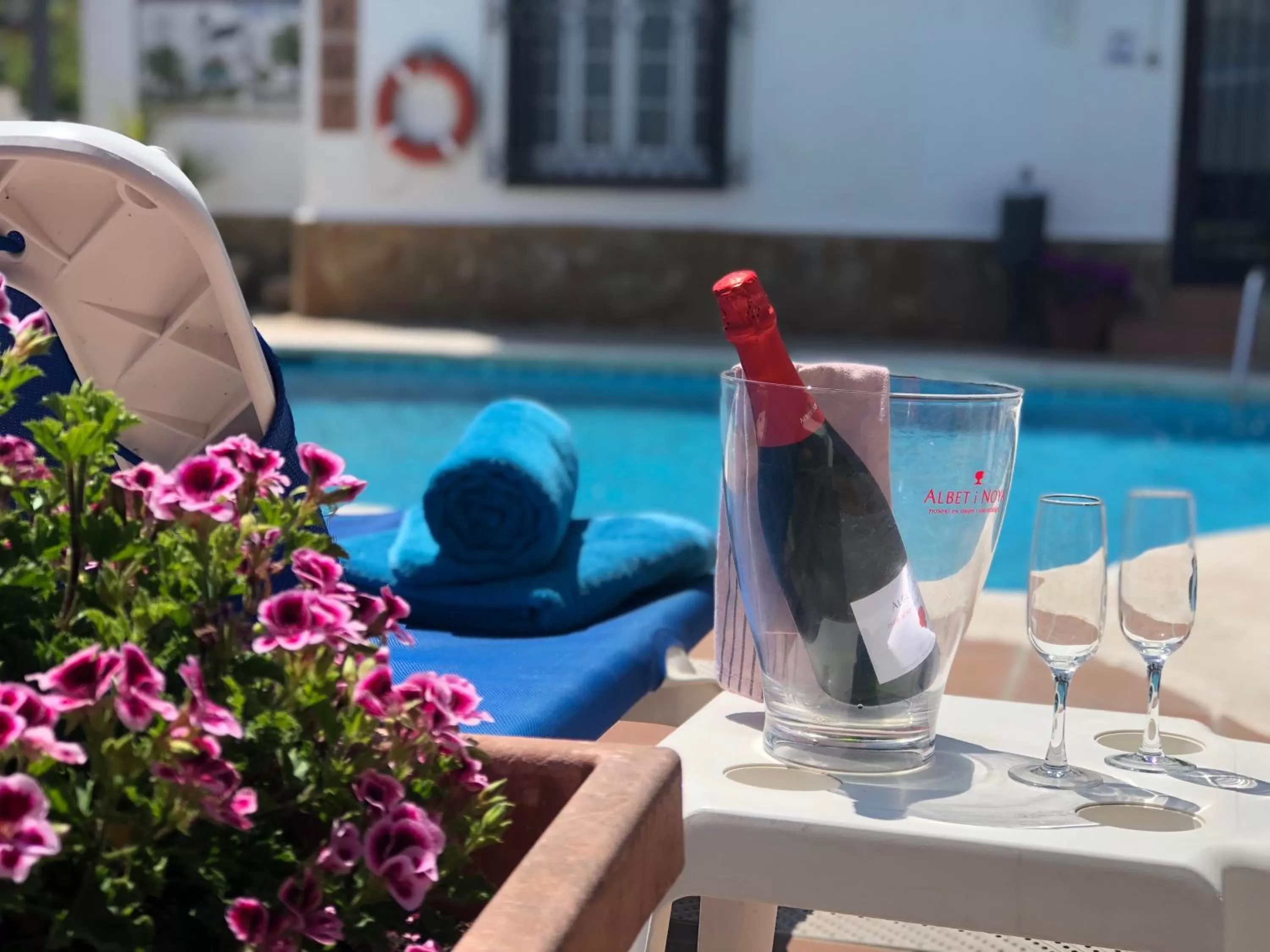 Swimming pool in Hotel Capri