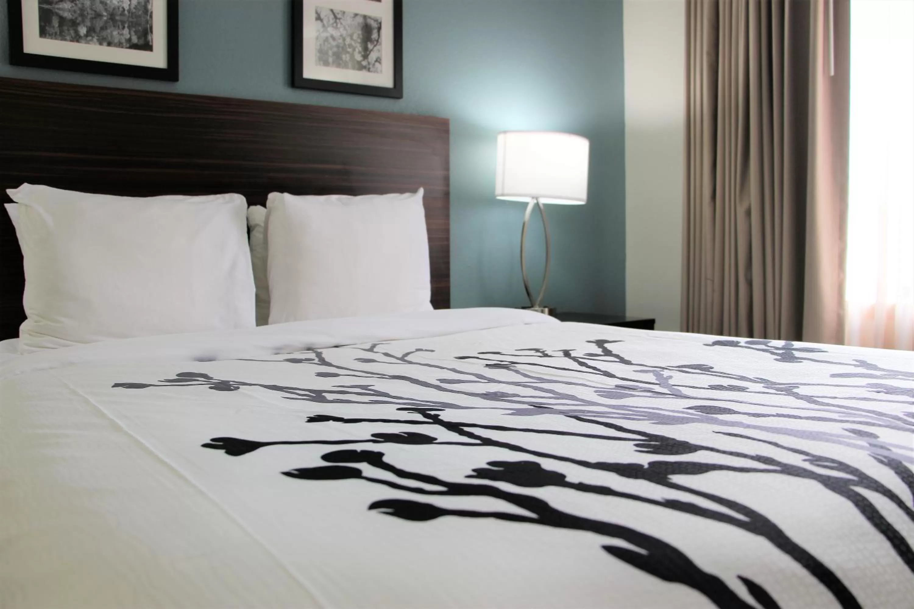 Bed in Sleep Inn Chattanooga Hamilton Place