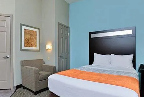 Bed in Suburban Studios