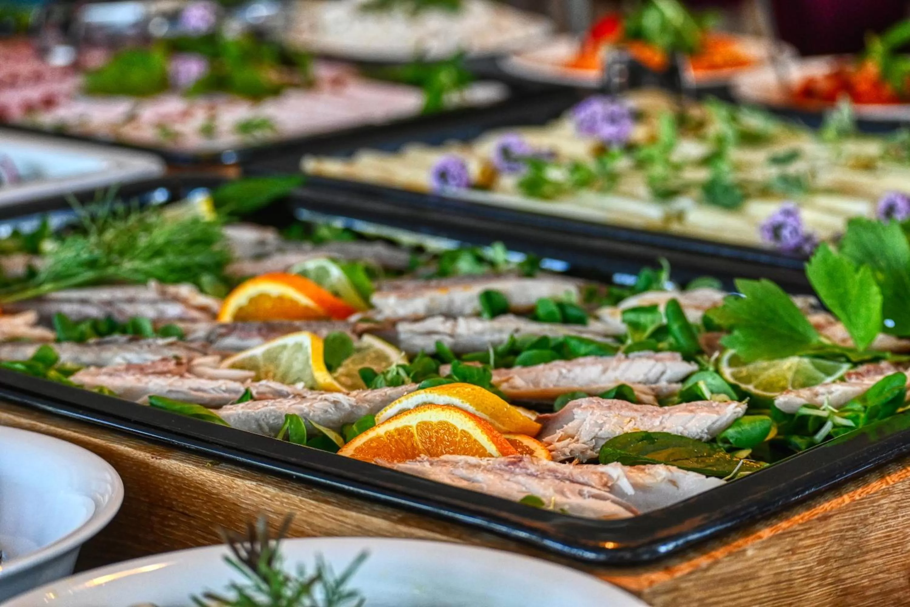 Dinner in Sopotorium Hotel & Medical Spa