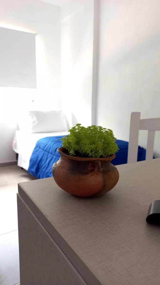 Bedroom in Hotel Musto