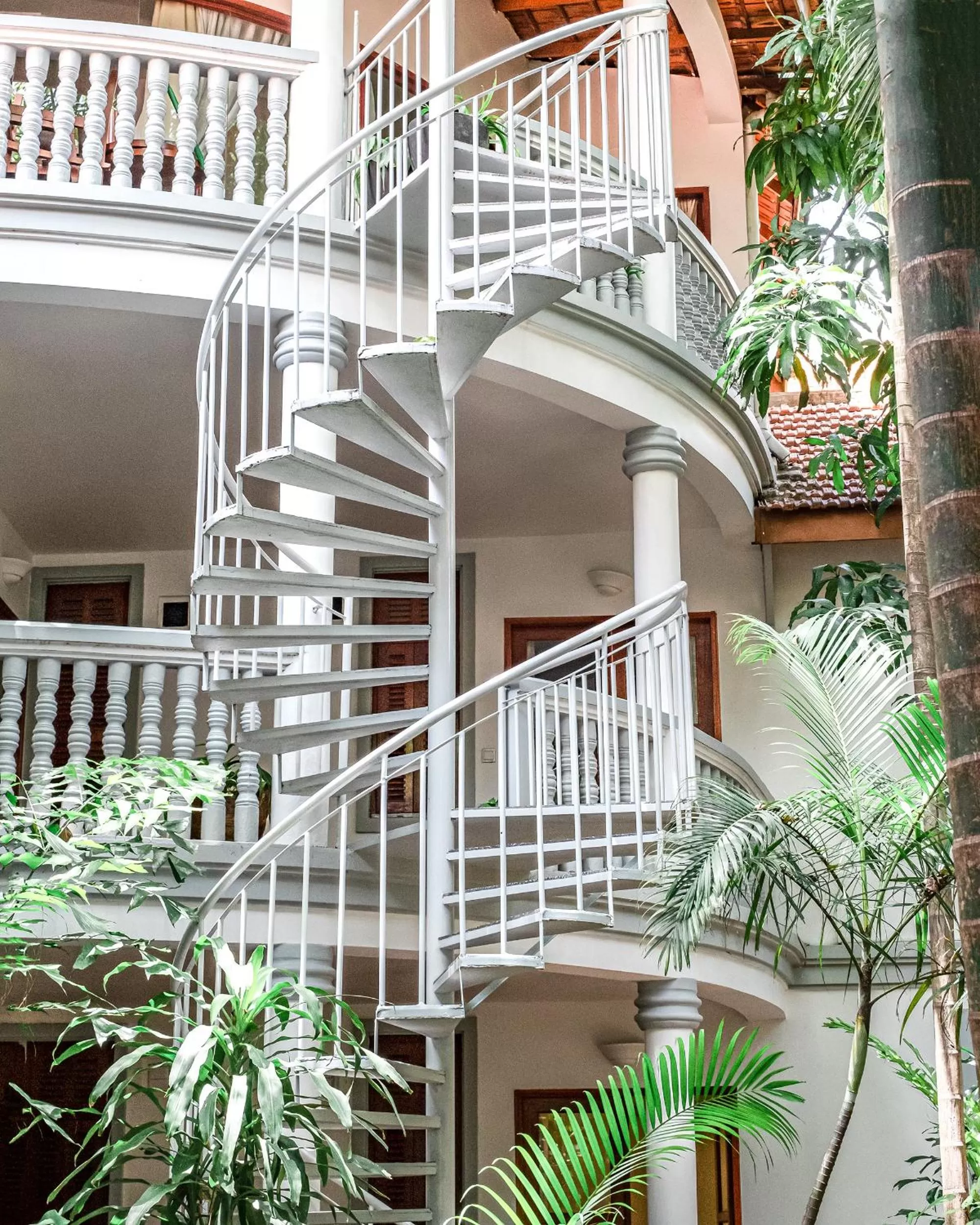 Property building in Jungle Addition