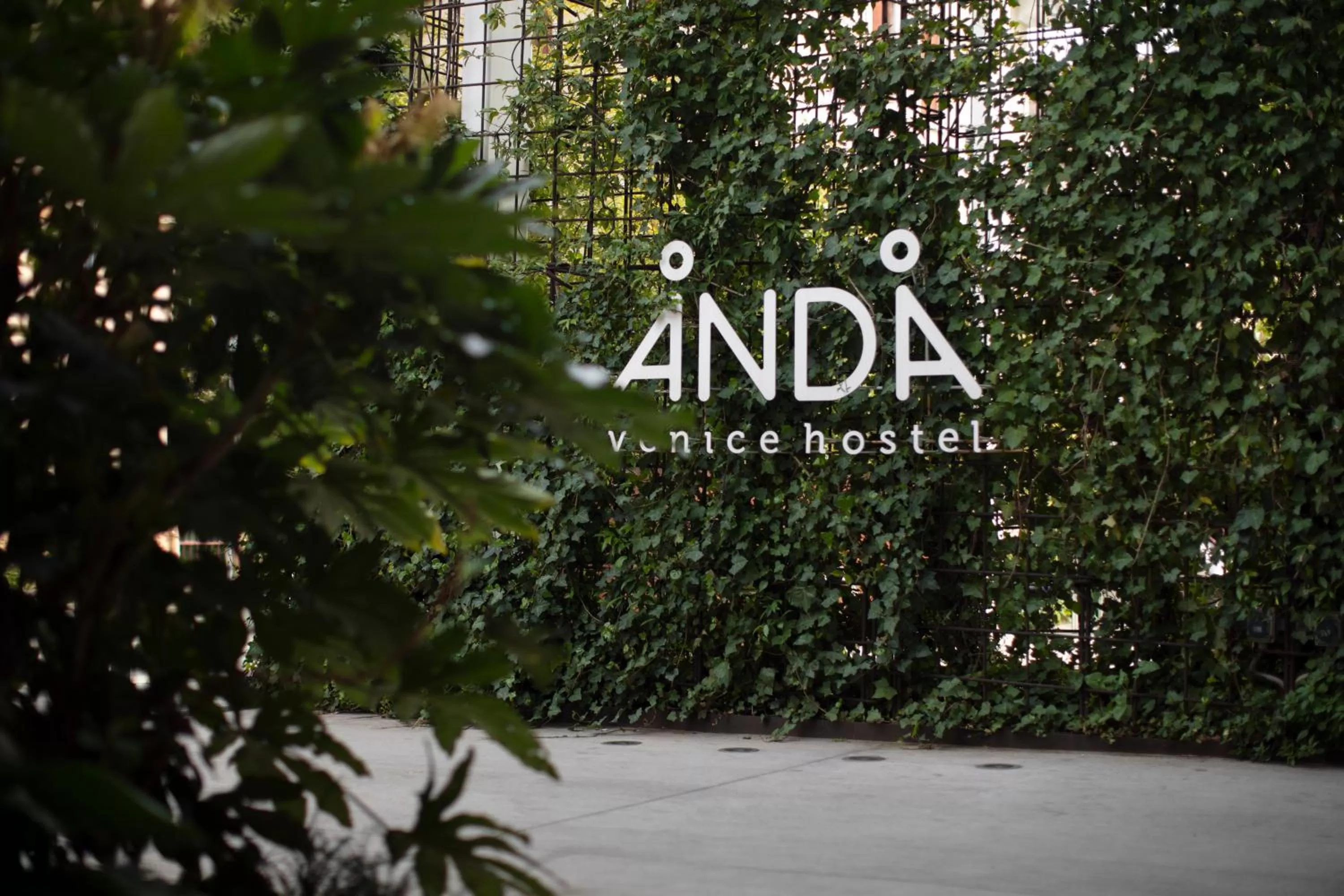 Garden in Anda Venice Hostel