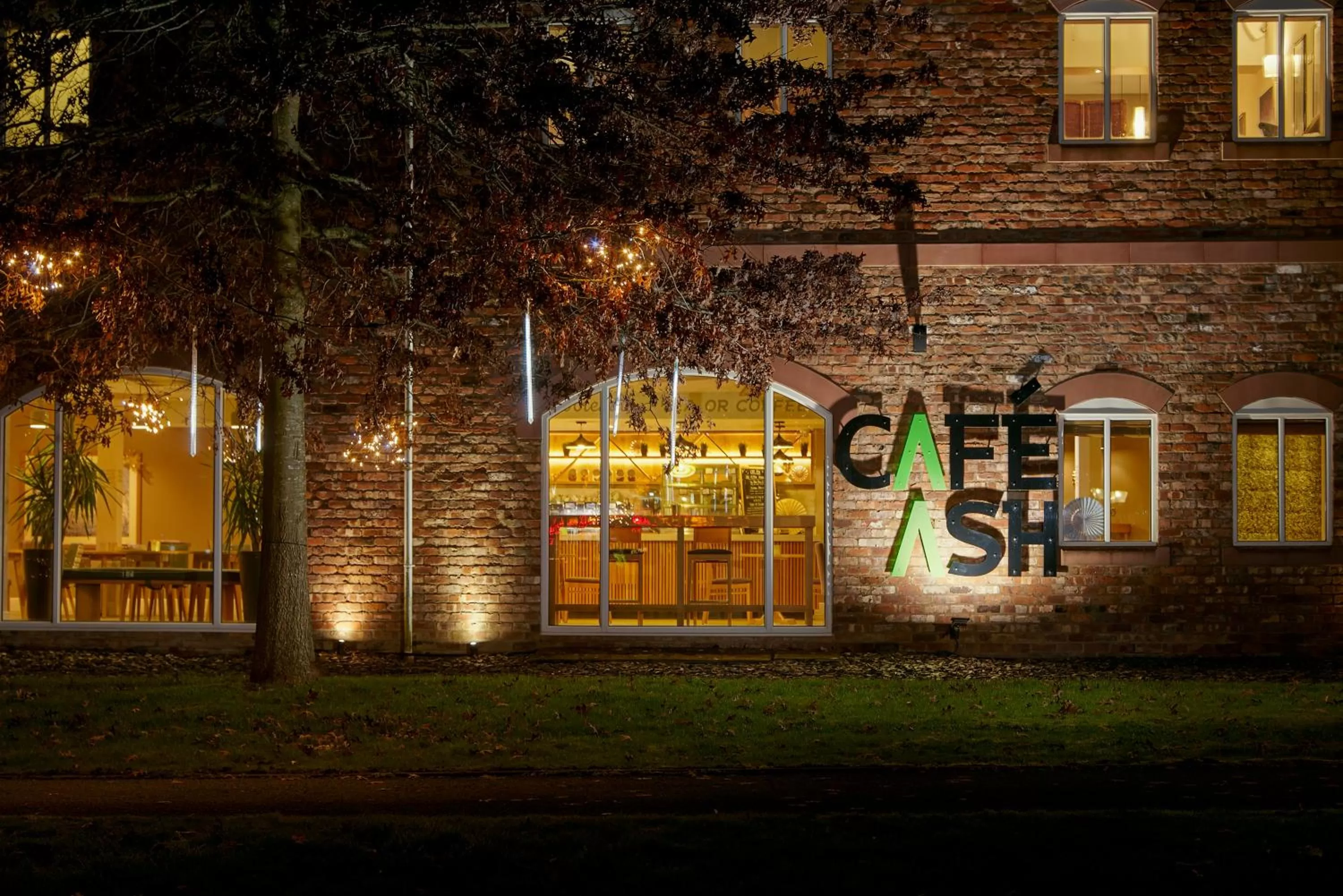 Food and drinks in Lion Quays Resort