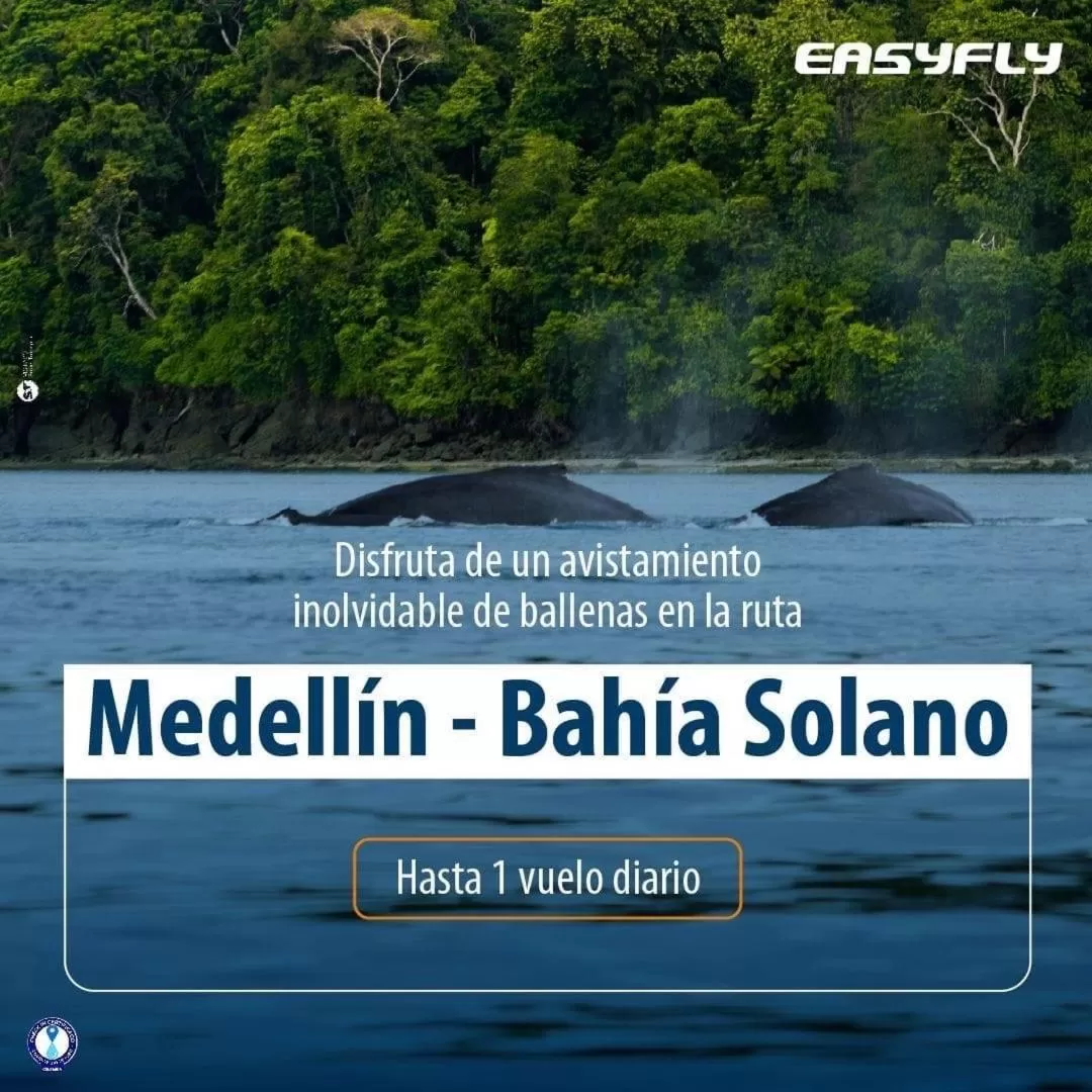 Posada Turística Rocas De Cabo Marzo