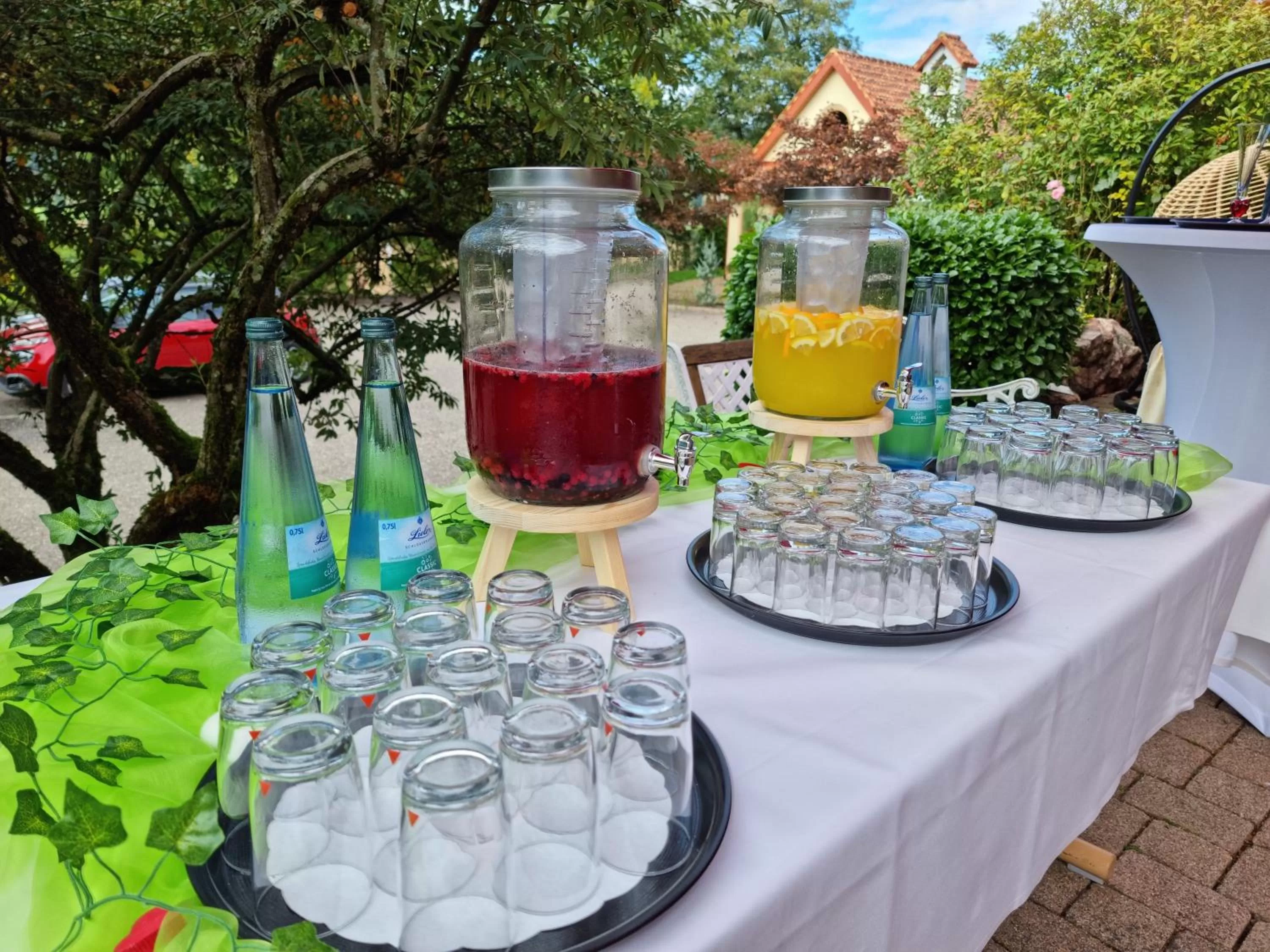 Garden in Silberkönig Schwarzwald Hotel & Restaurant Ringhotel