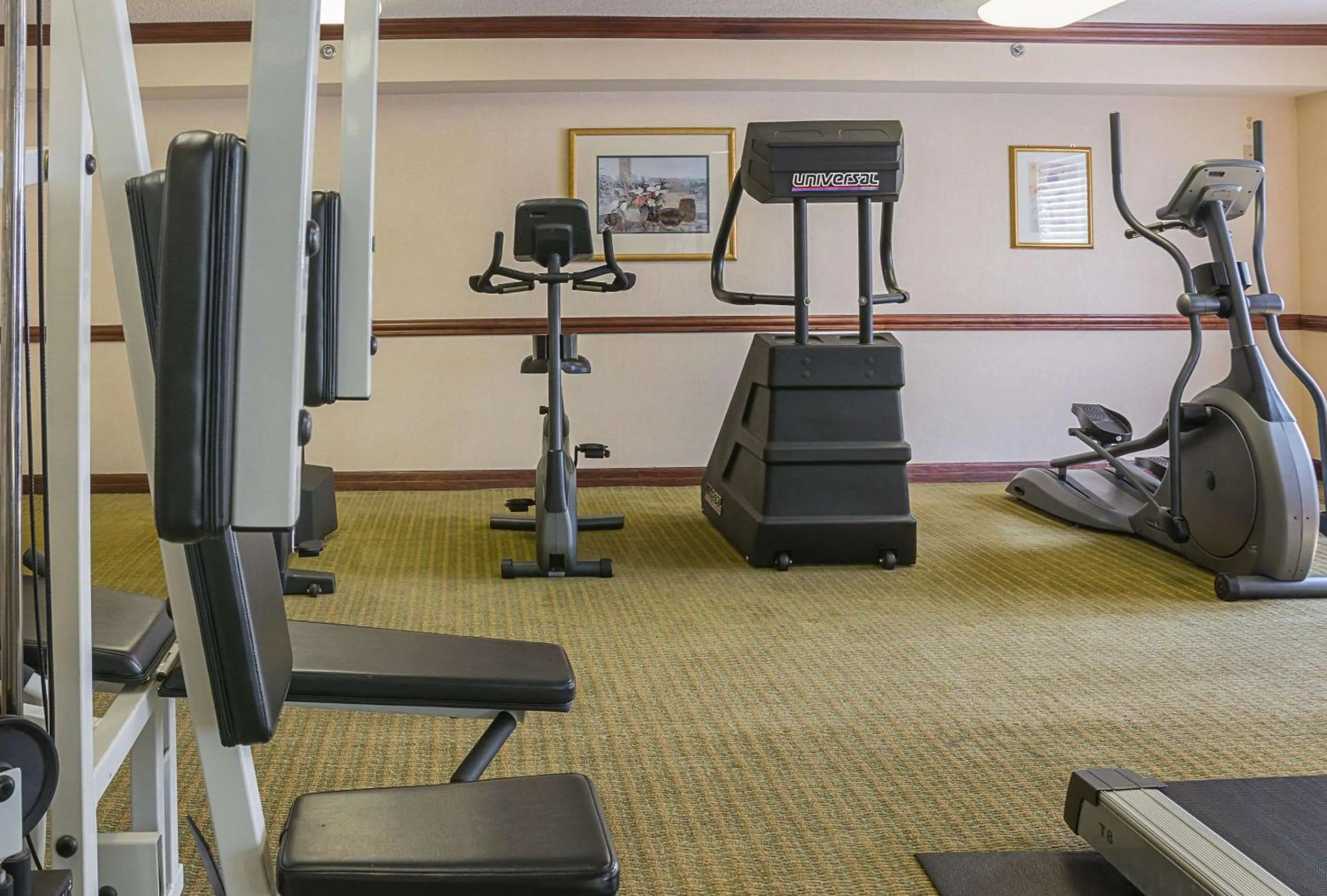 Fitness centre/facilities in Quality Inn & Suites Detroit Metro Airport