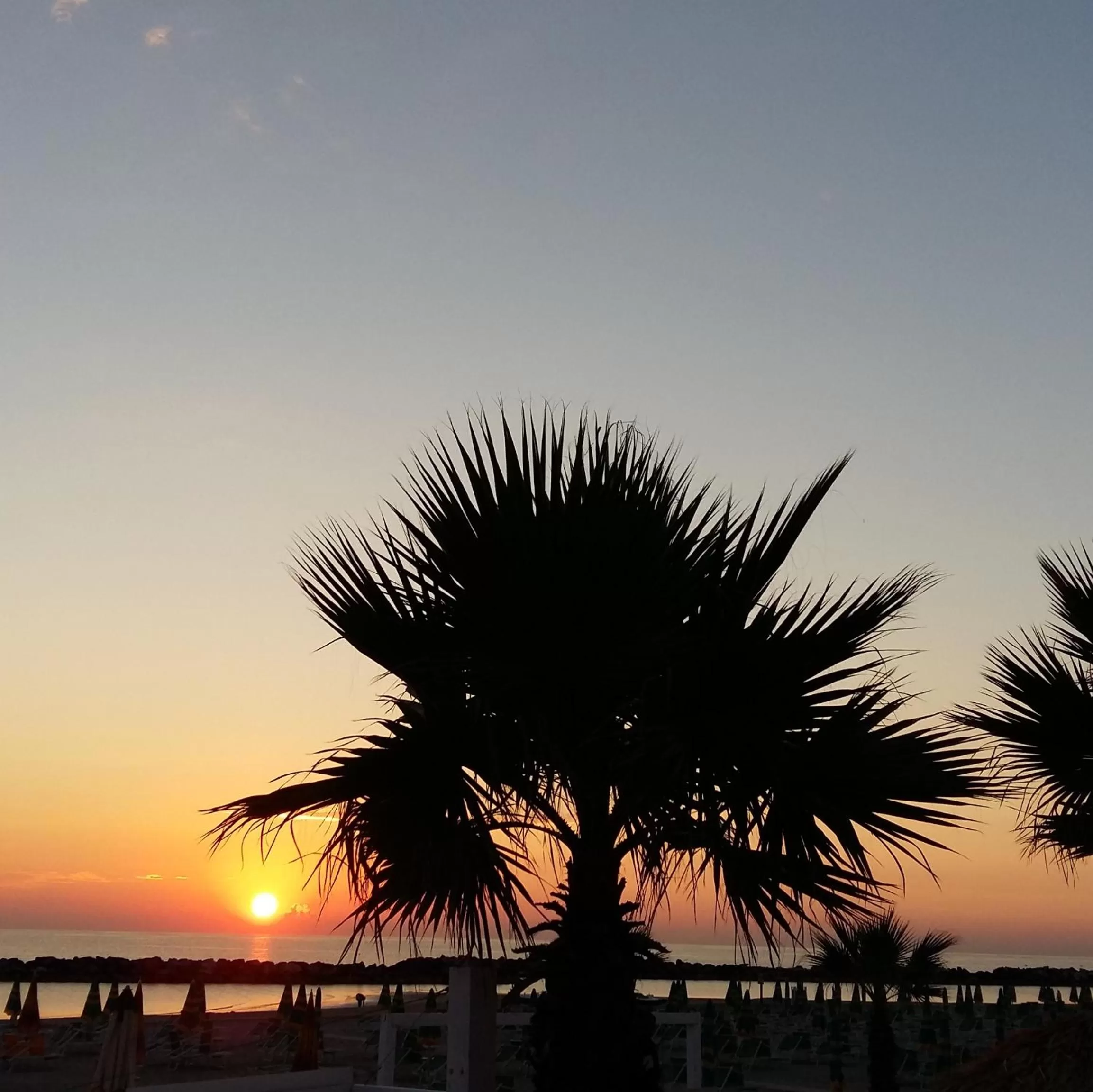 Summer in Baldinini Hotel