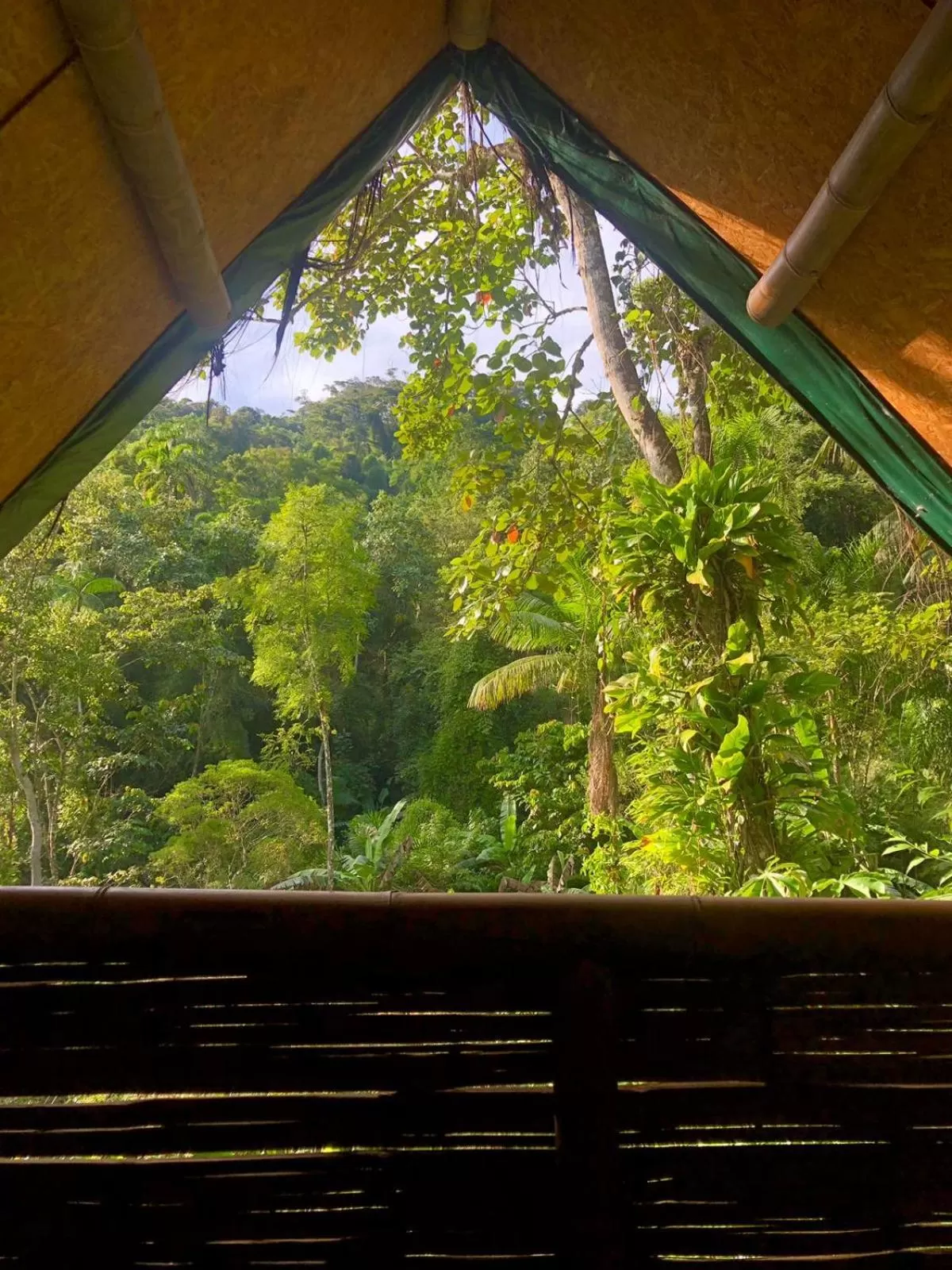 View in Sitio Simple Life