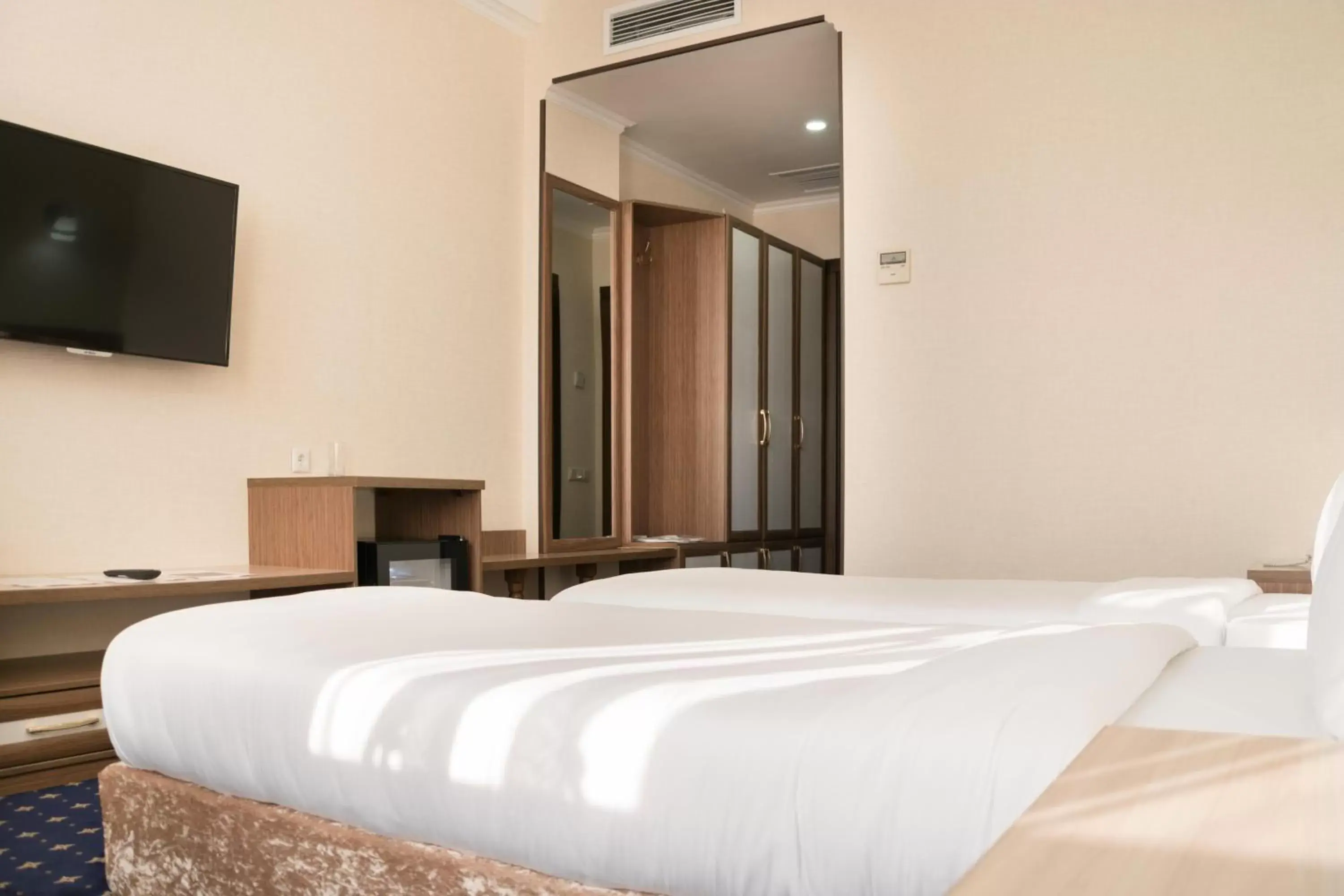 Twin Room - Disability Access in Hotel Khanaka Twin Room - Disability Access in Hotel Khanaka