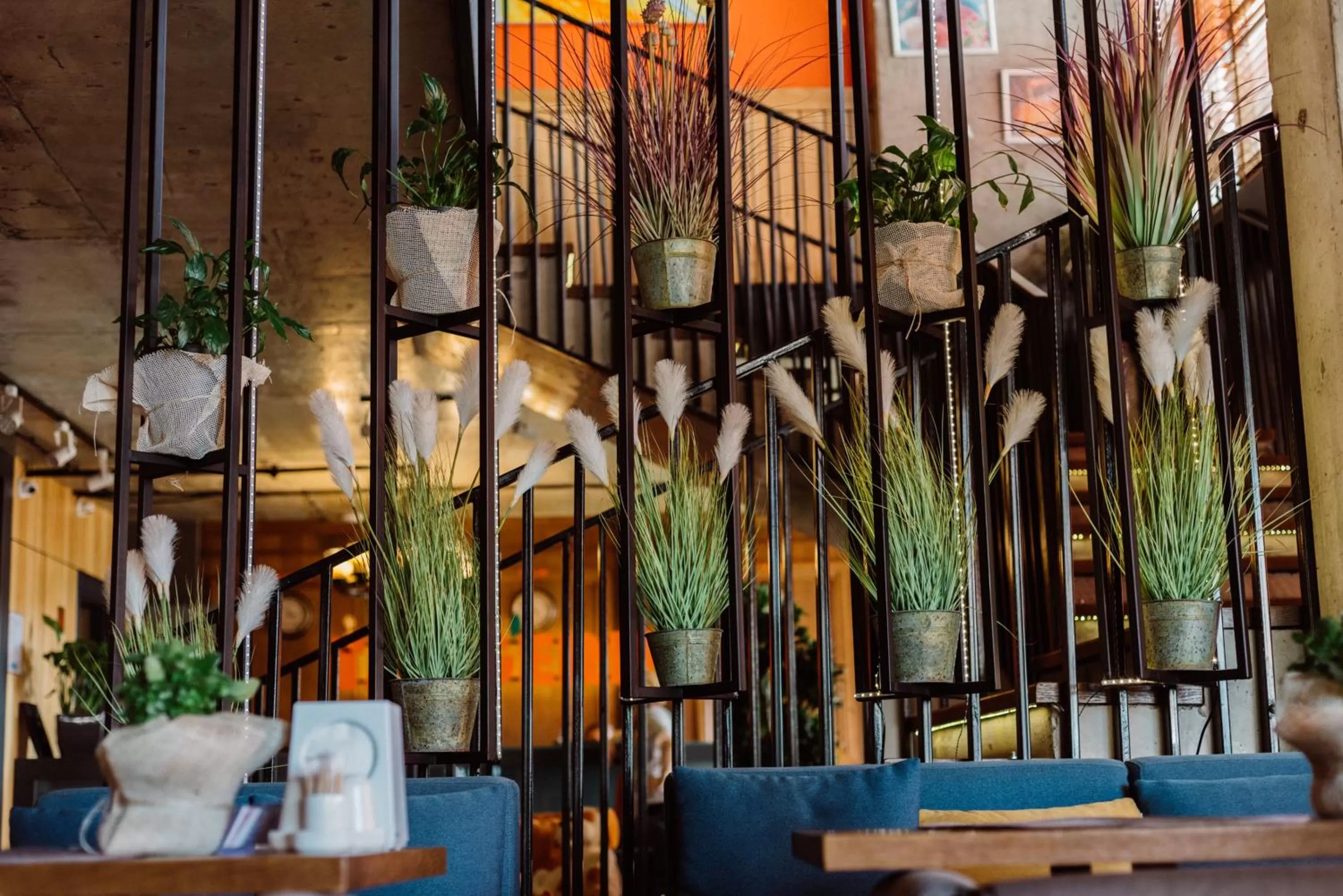 Restaurant/places to eat in Aparthotel Tangerine