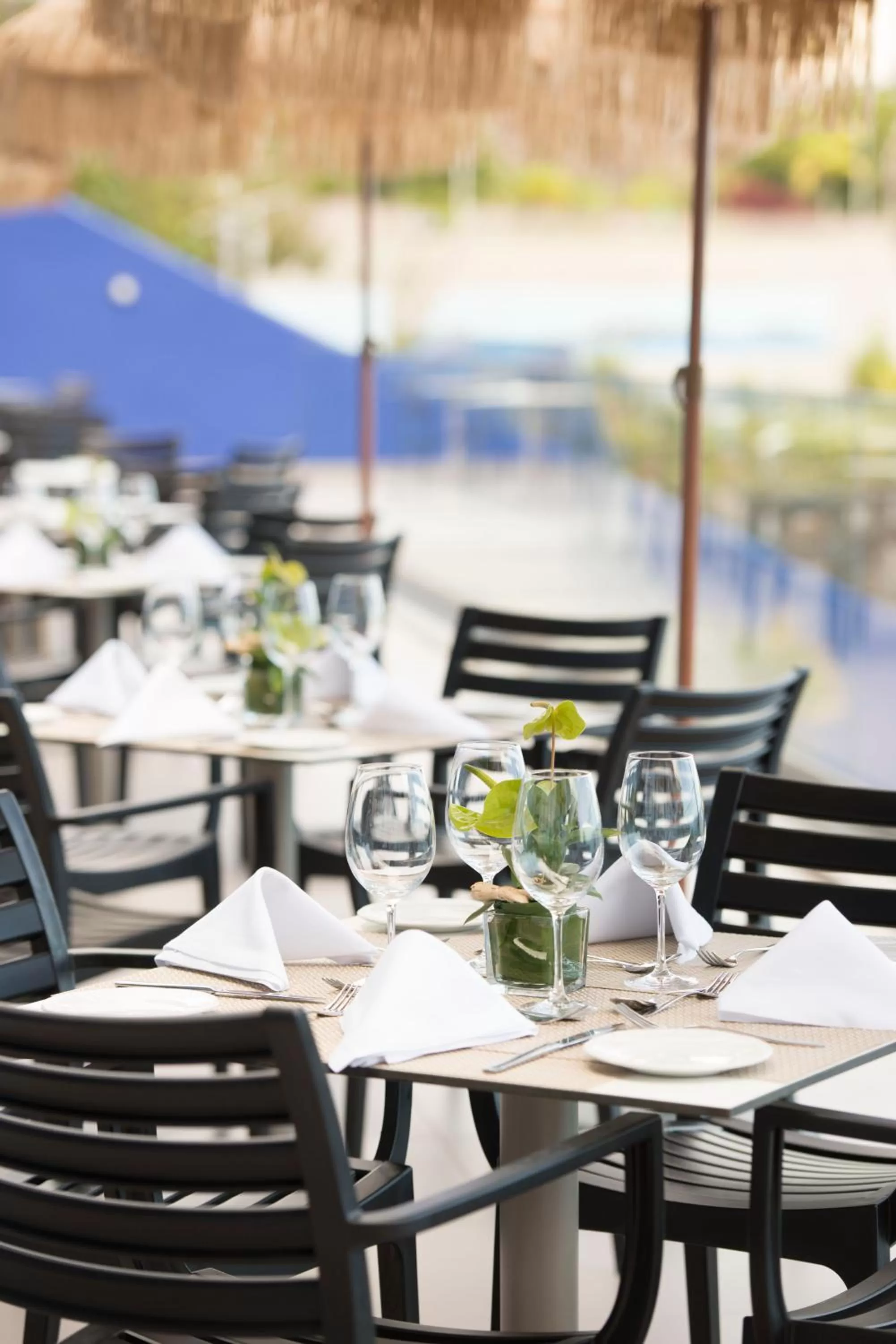 Food and drinks in Hotel Baia Azul