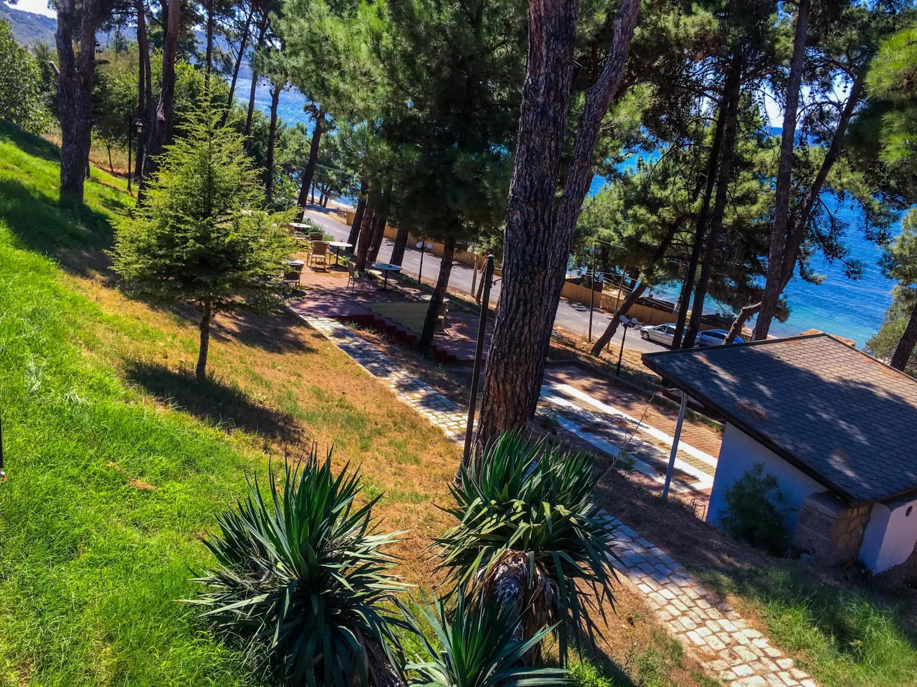 Natural landscape in Troia Tusan Hotel