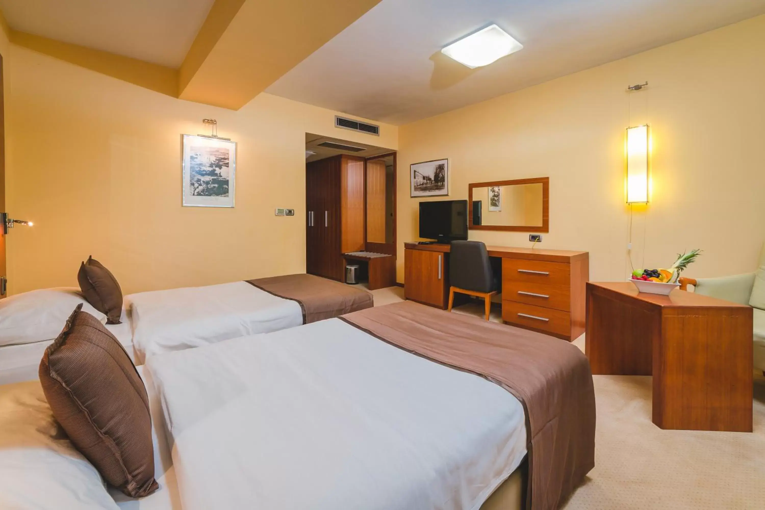 Classic Twin Room - single occupancy in Hotel Podgorica Classic Twin Room - single occupancy in Hotel Podgorica