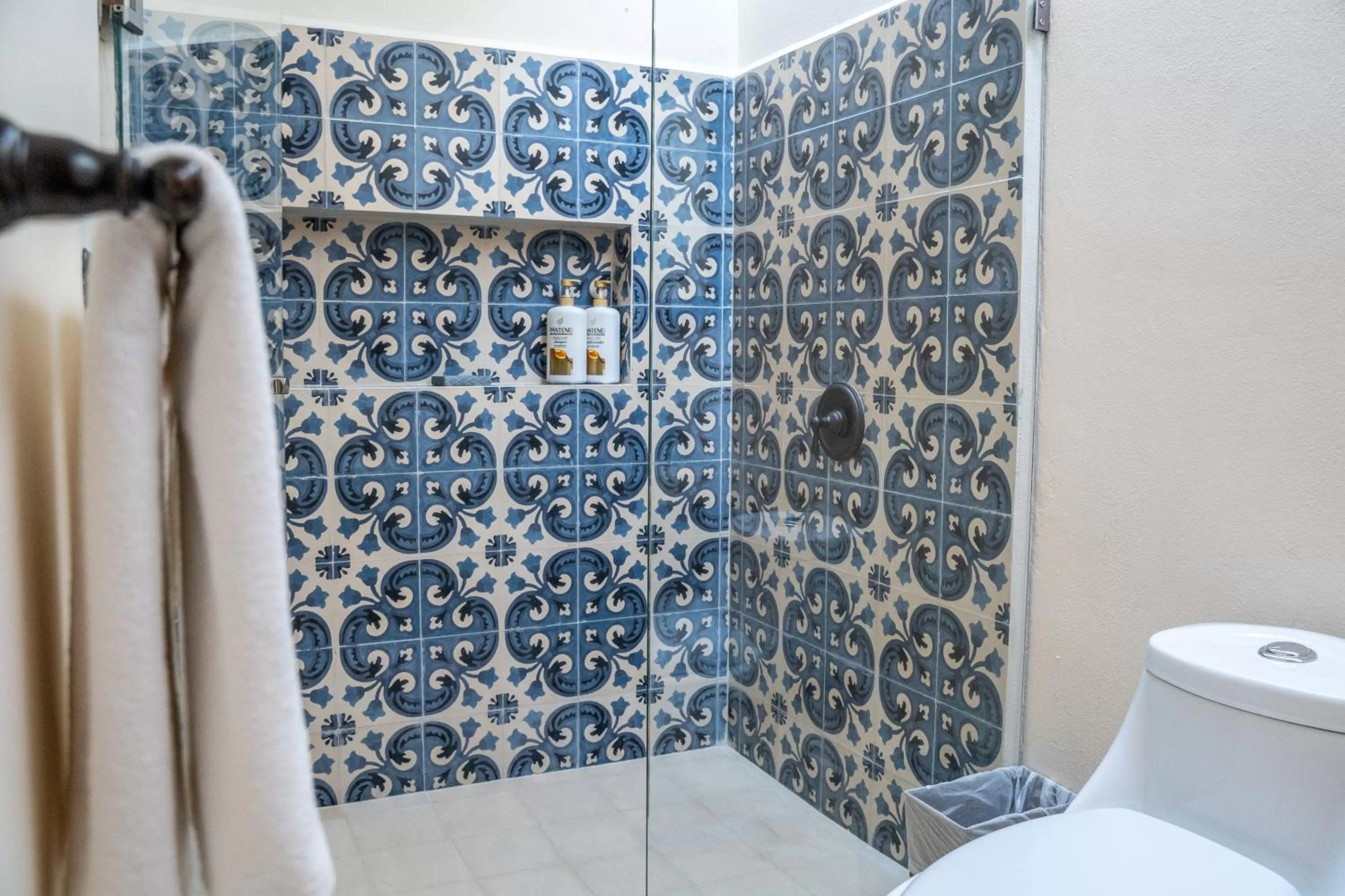 Shower in Hotel & Hostal Boutique Casa Garza