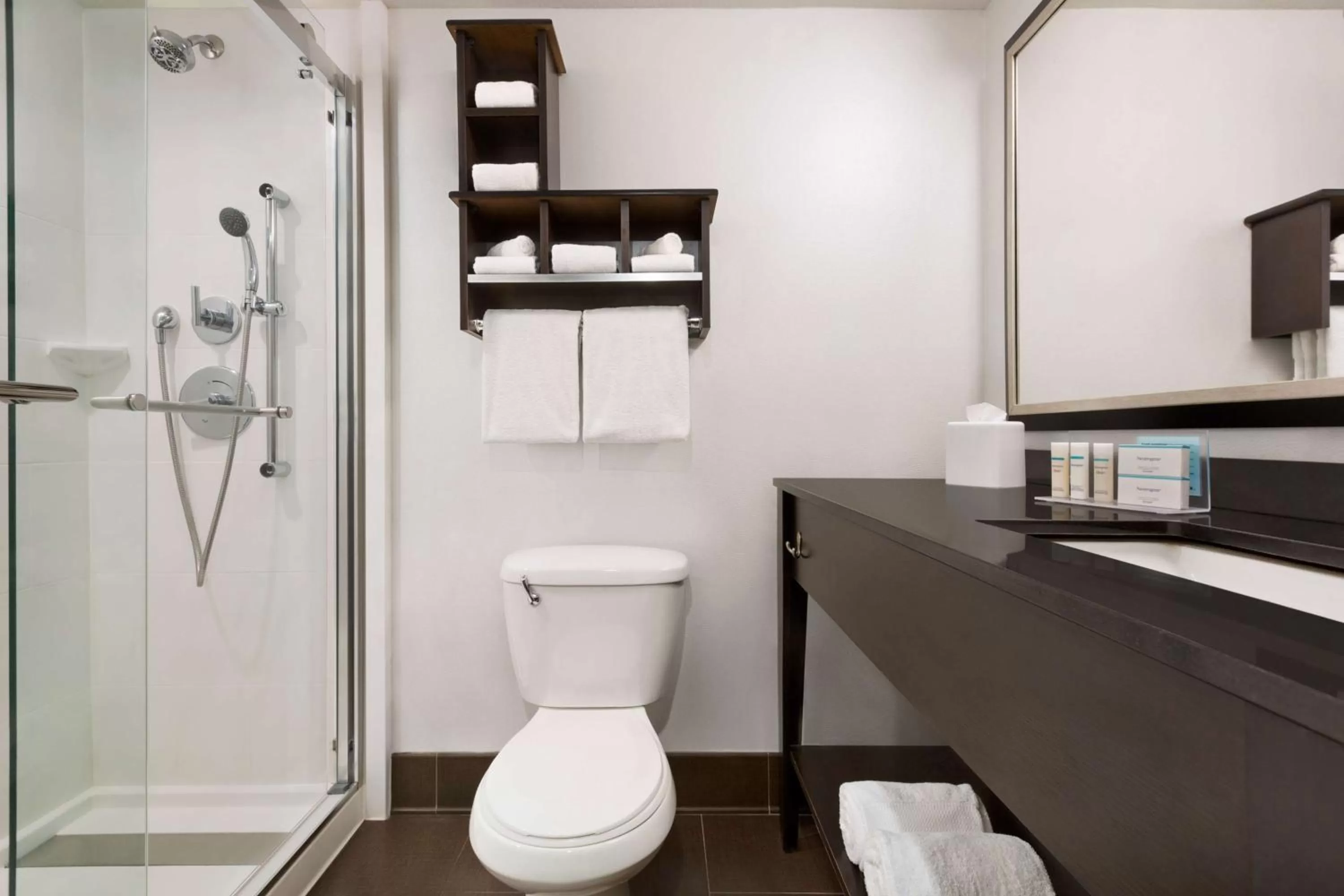 Bathroom in Hampton Inn Denver-West/Golden