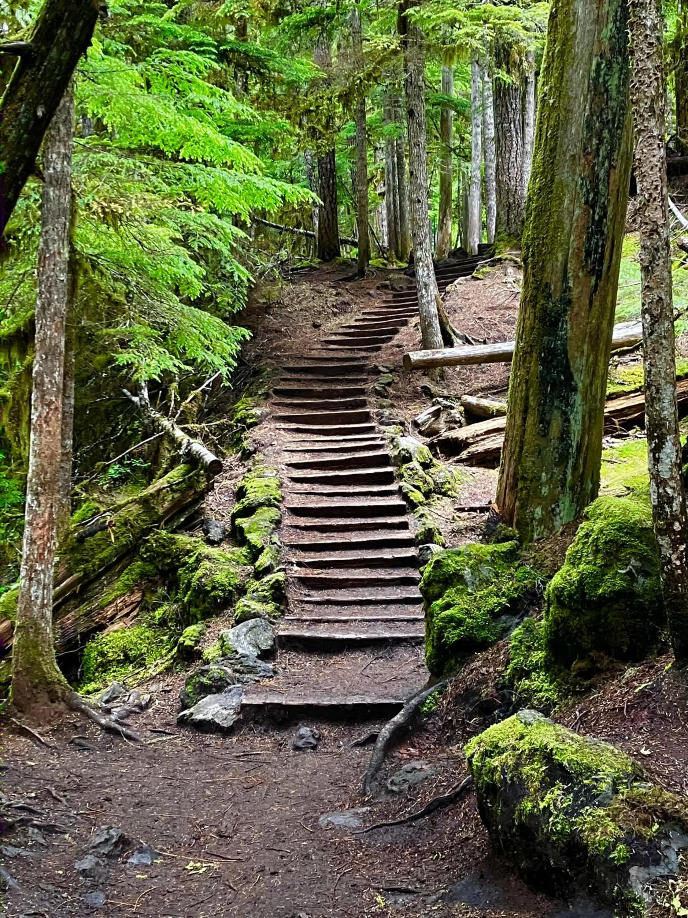Activities in Smith Rock Resort