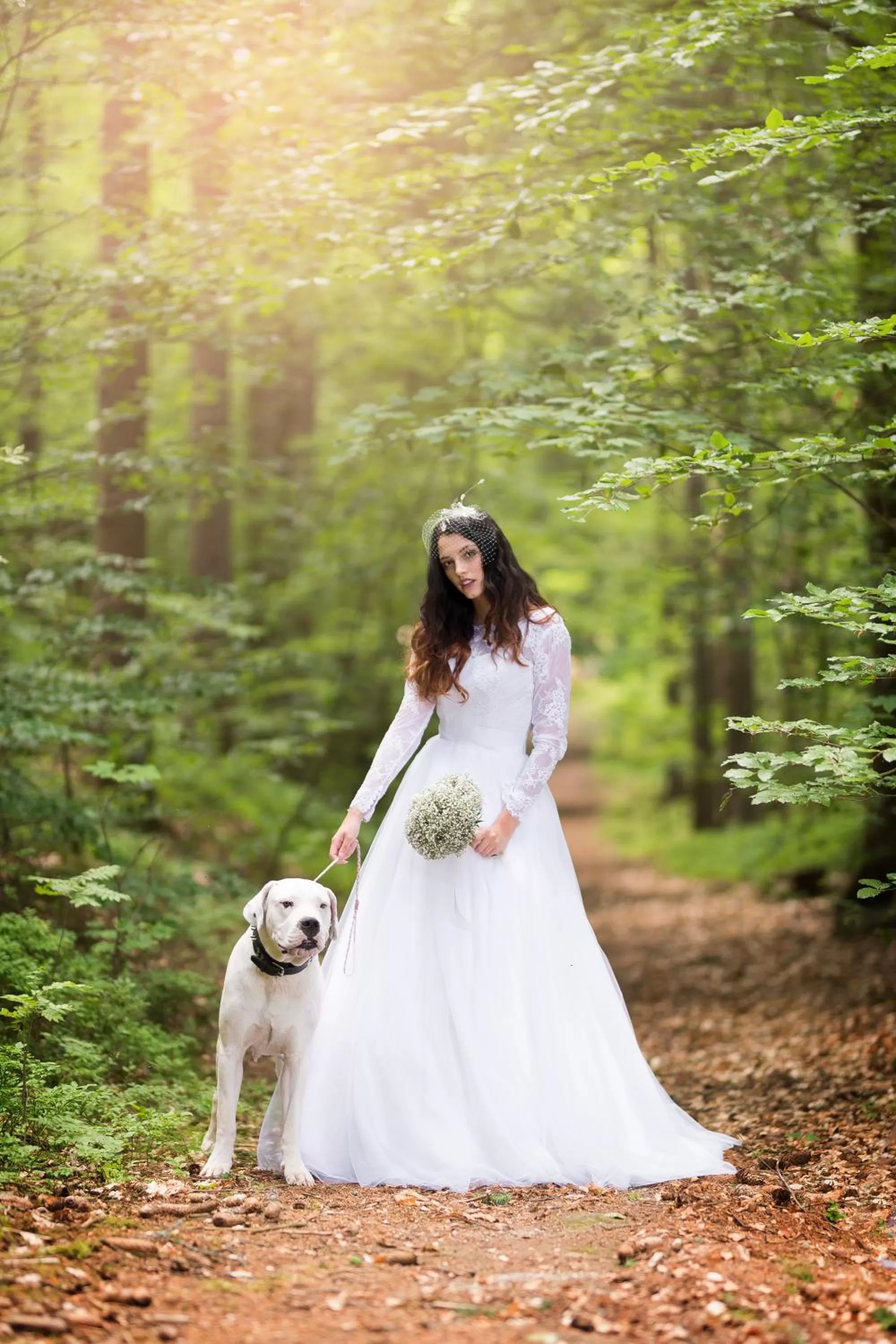 Nearby landmark in Zámek Lužec Spa & Wellness Resort