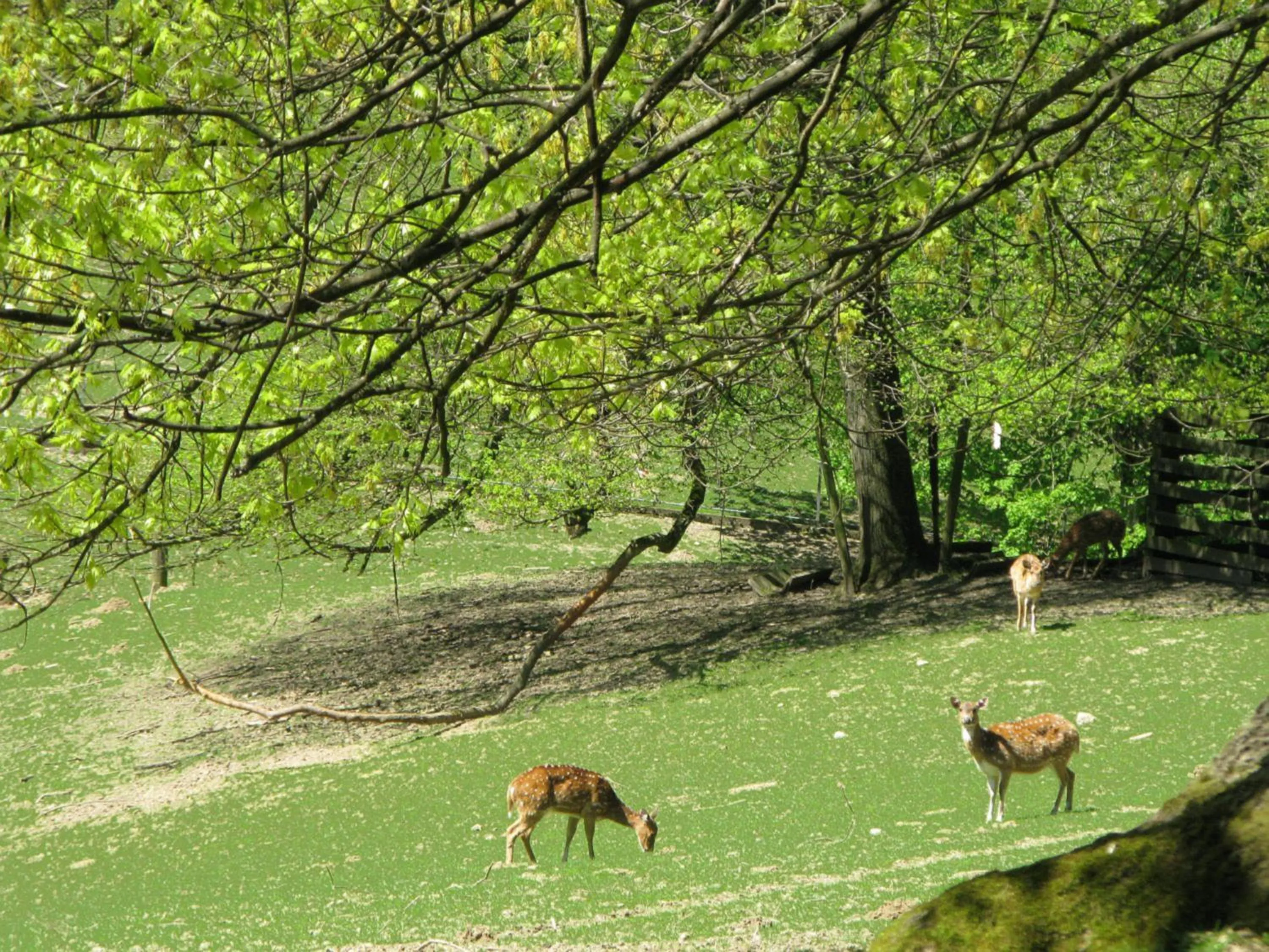 Nearby landmark in Hotel Business & More