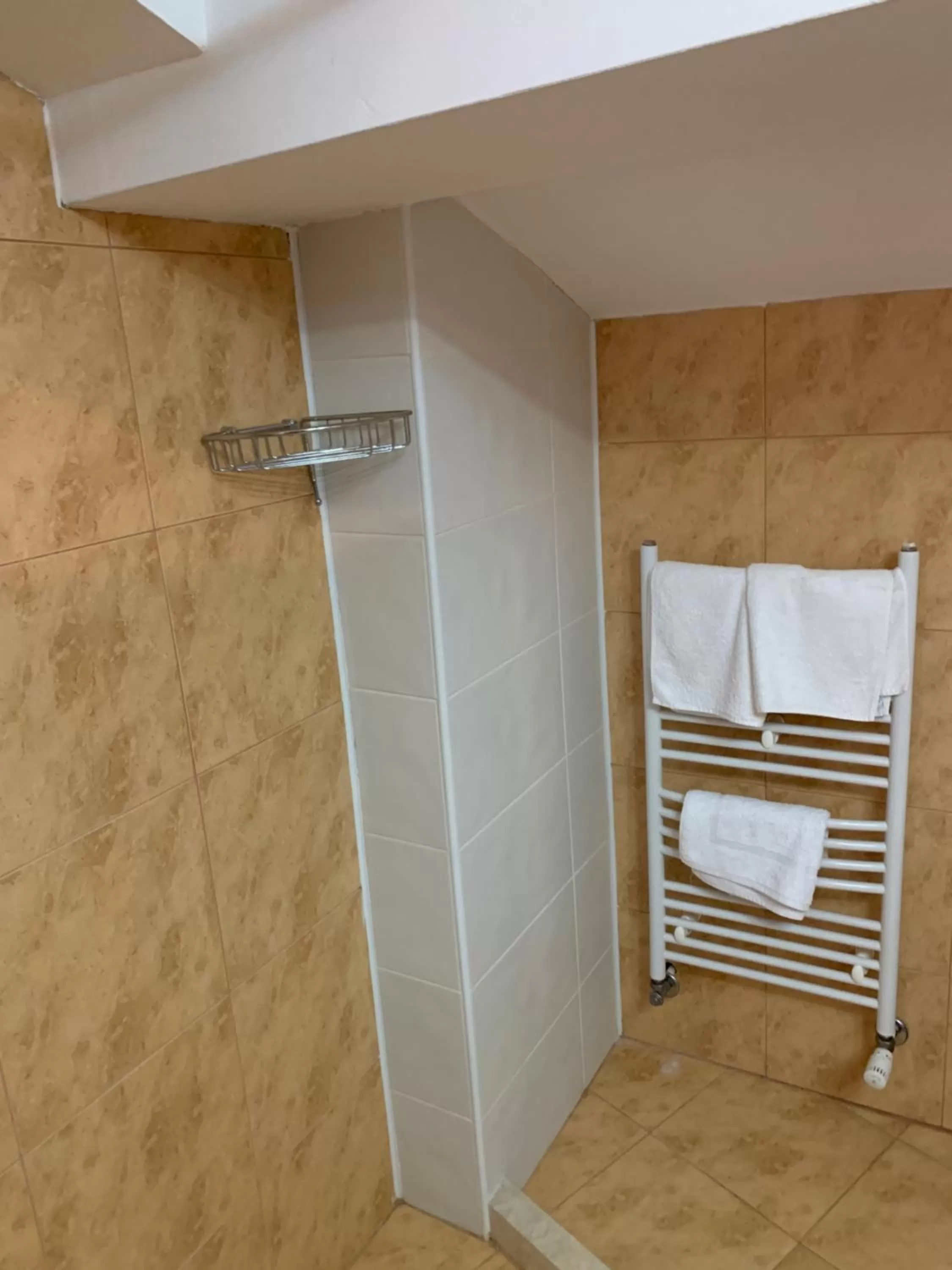 Bathroom in Villa Rai