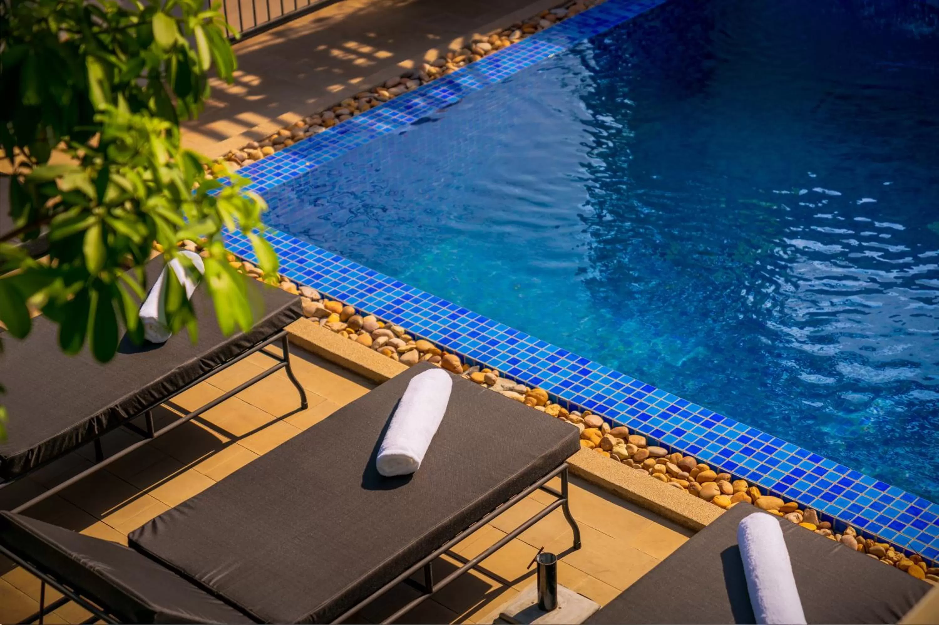 Swimming pool in Blanc Smith Residence