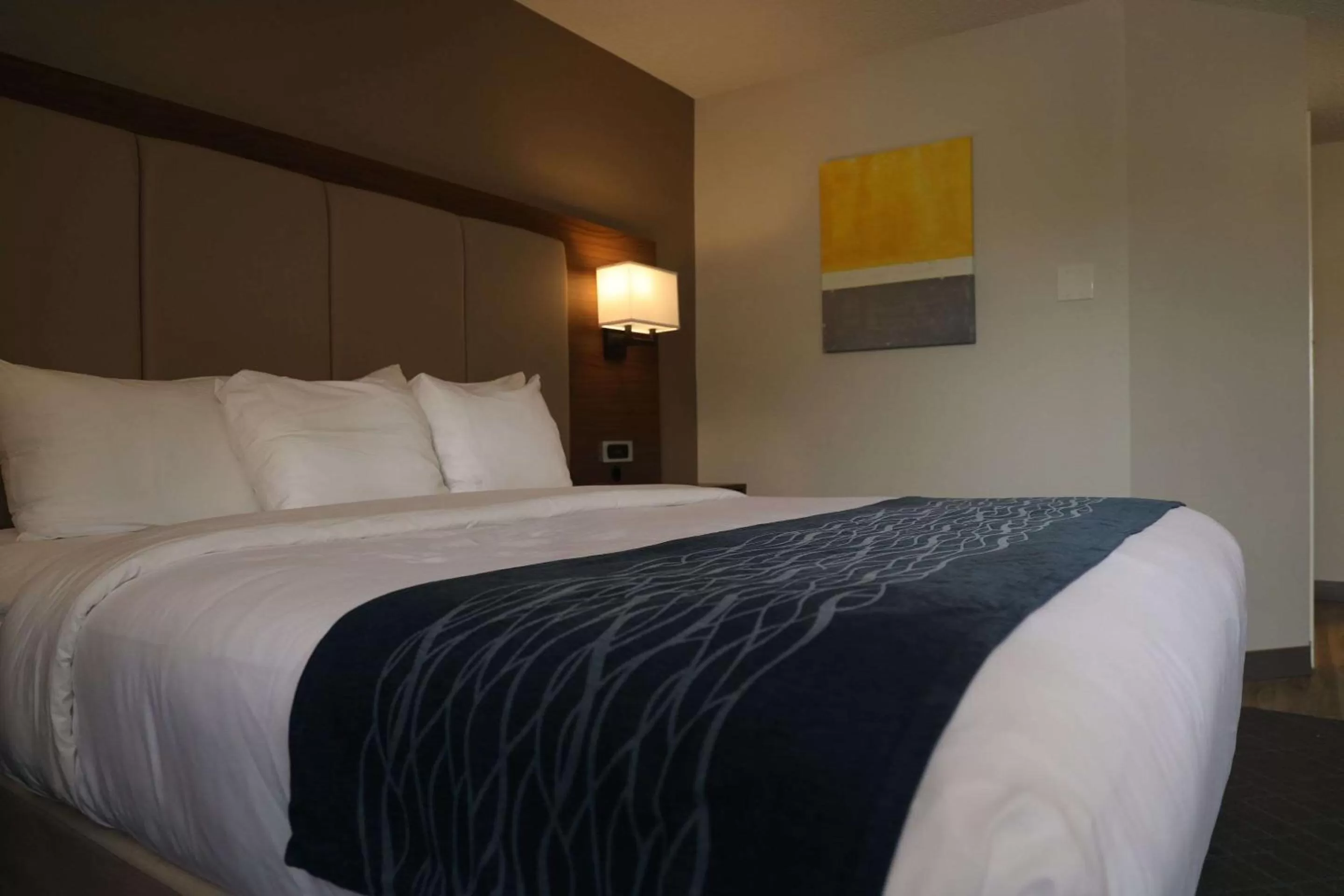 King Suite - Non-Smoking in Comfort Inn and Suites Ingersoll