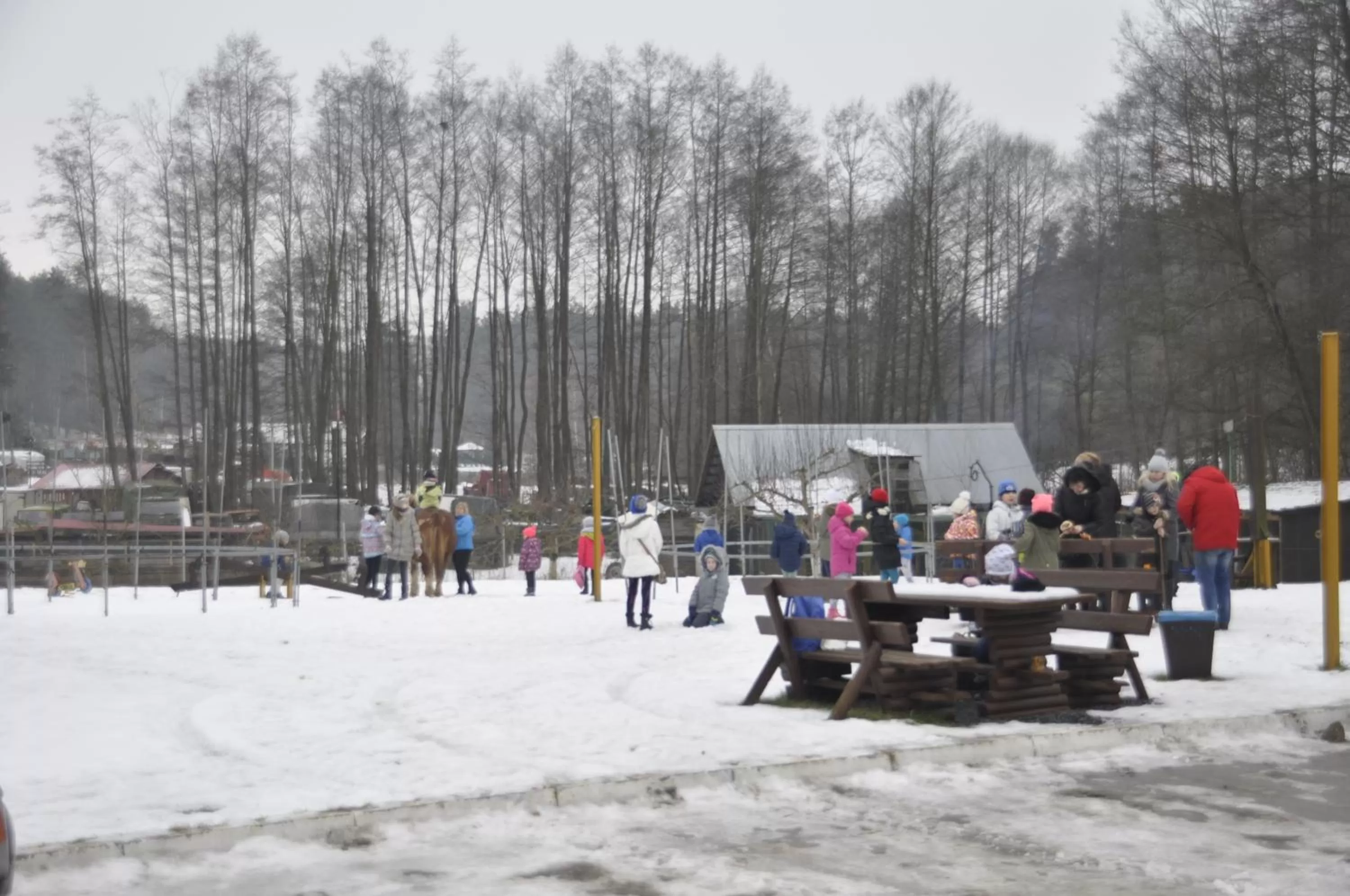 Winter in Ziołowa Dolina