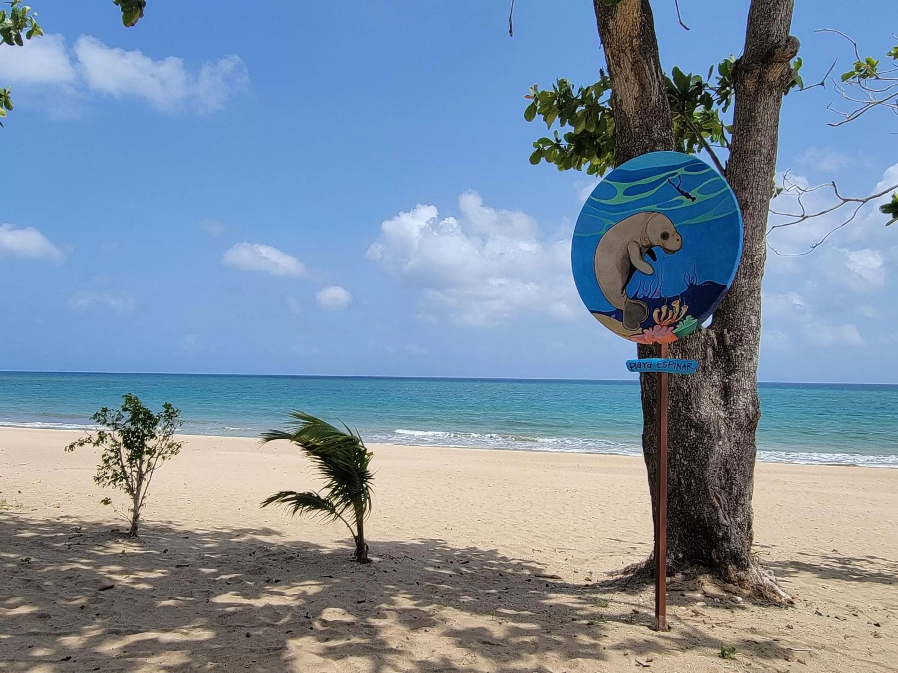Sea view, Beach in Aguada of the Seas