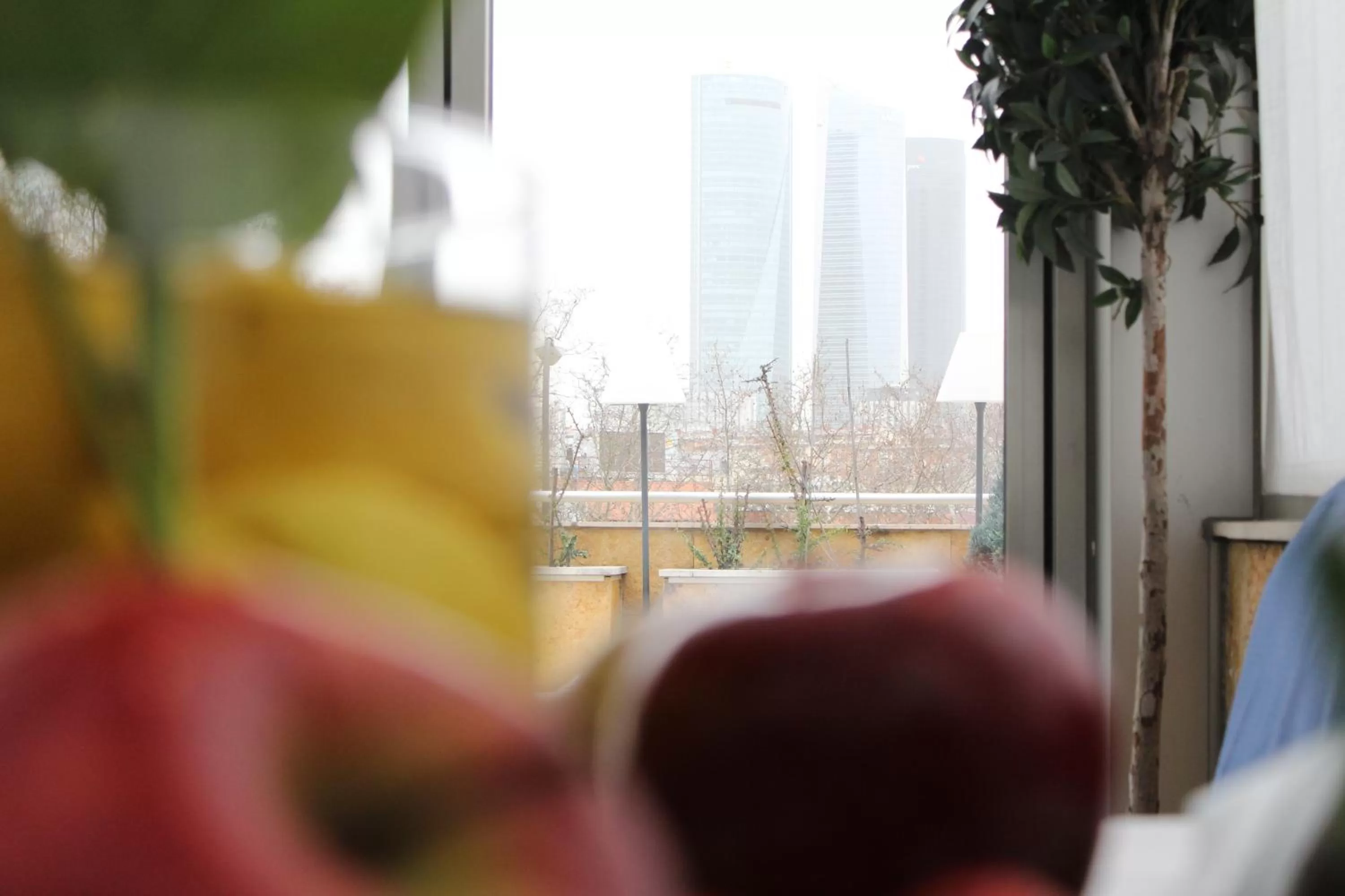 Food and drinks in Hotel Villamadrid