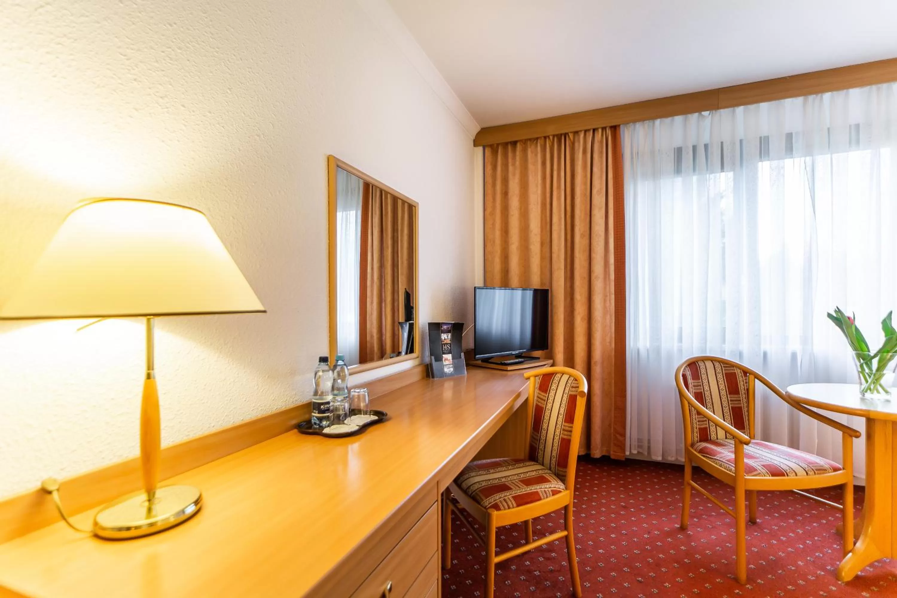 Photo of the whole room in Hotel Solny