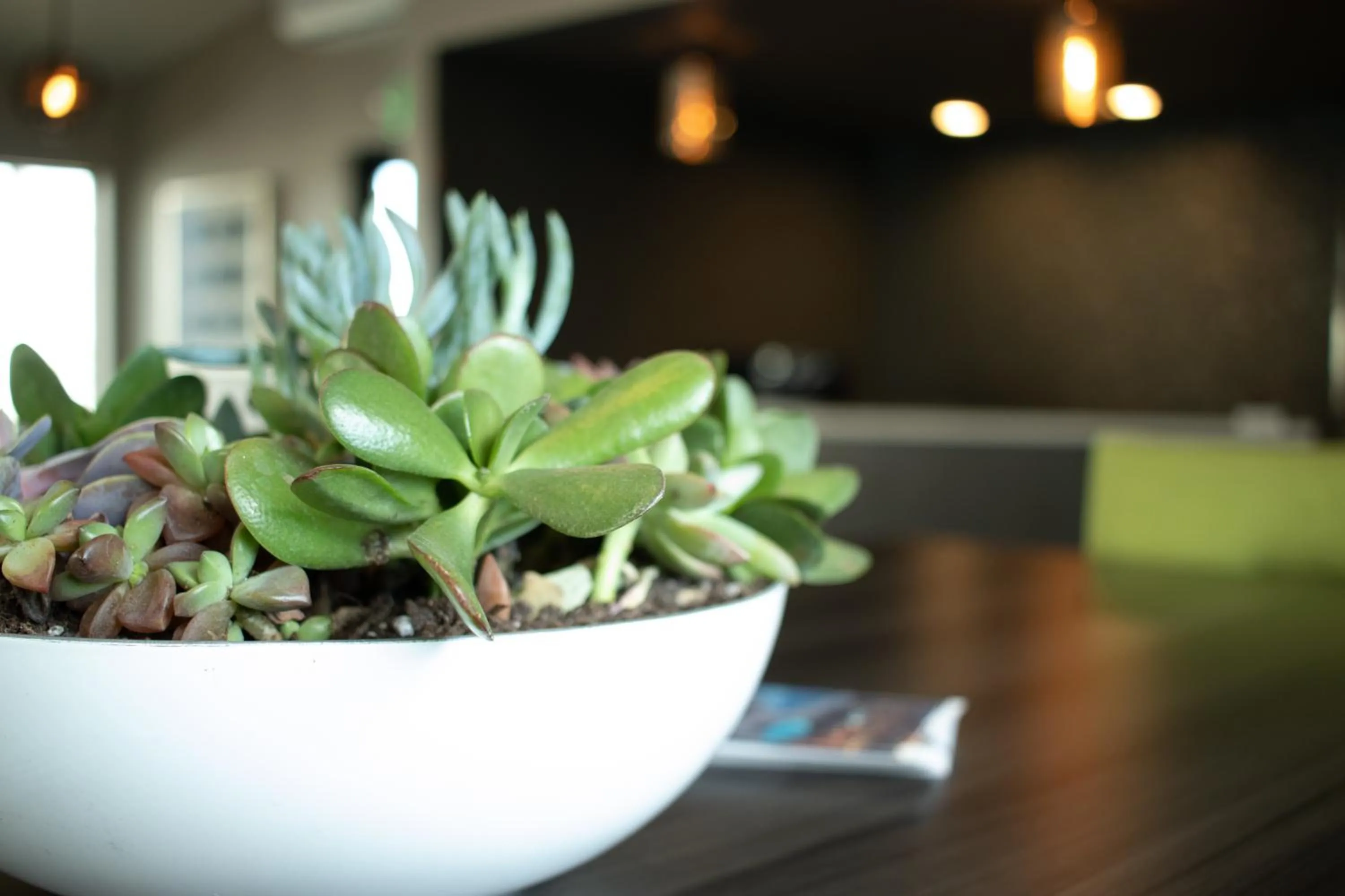 Lobby or reception in The Hotel Y