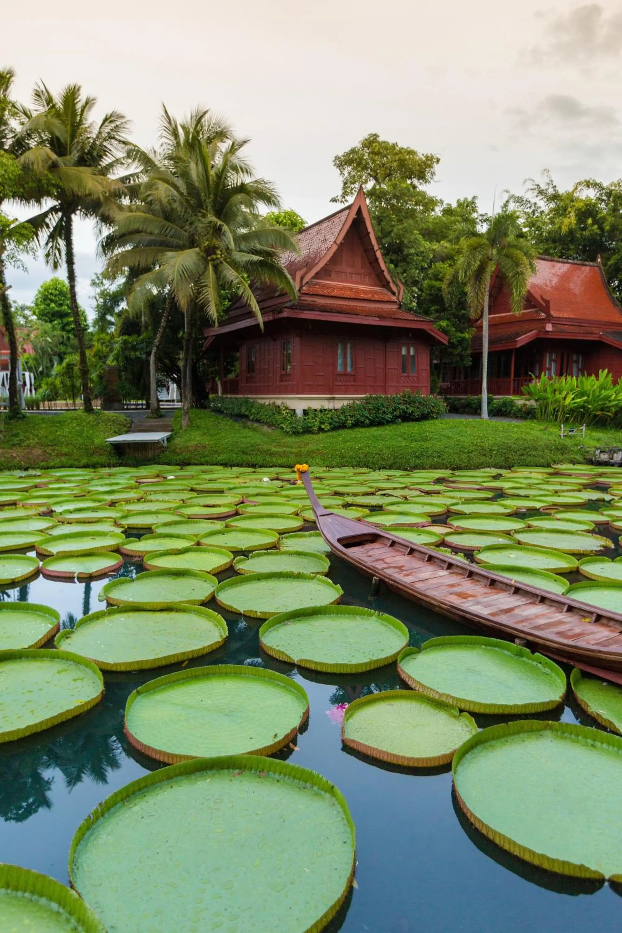 Garden in Ma Doo Bua Stay - SHA Extra Plus