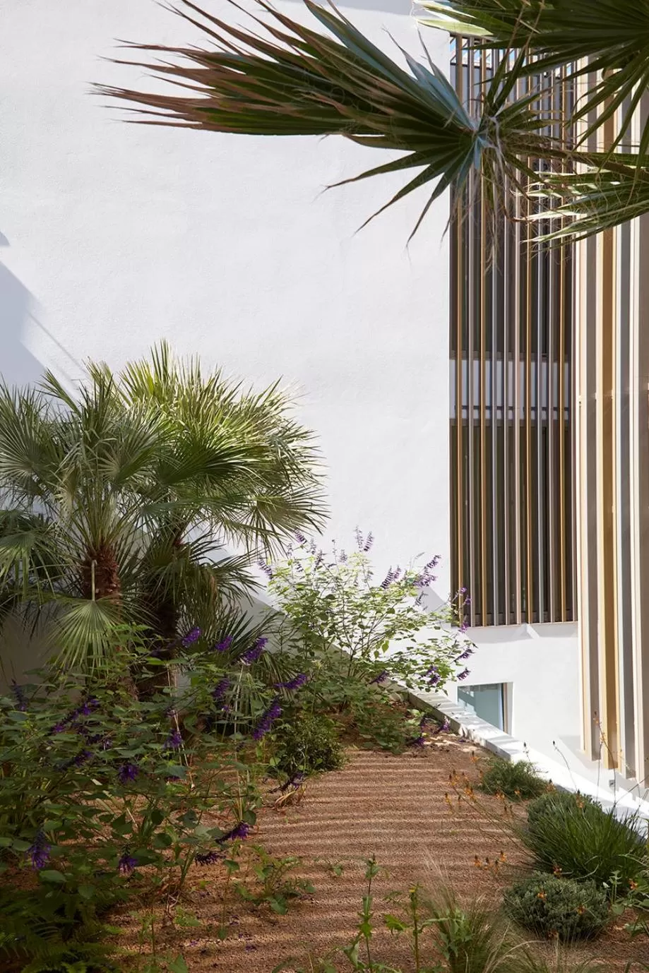 Garden in Hôtel de La Plage