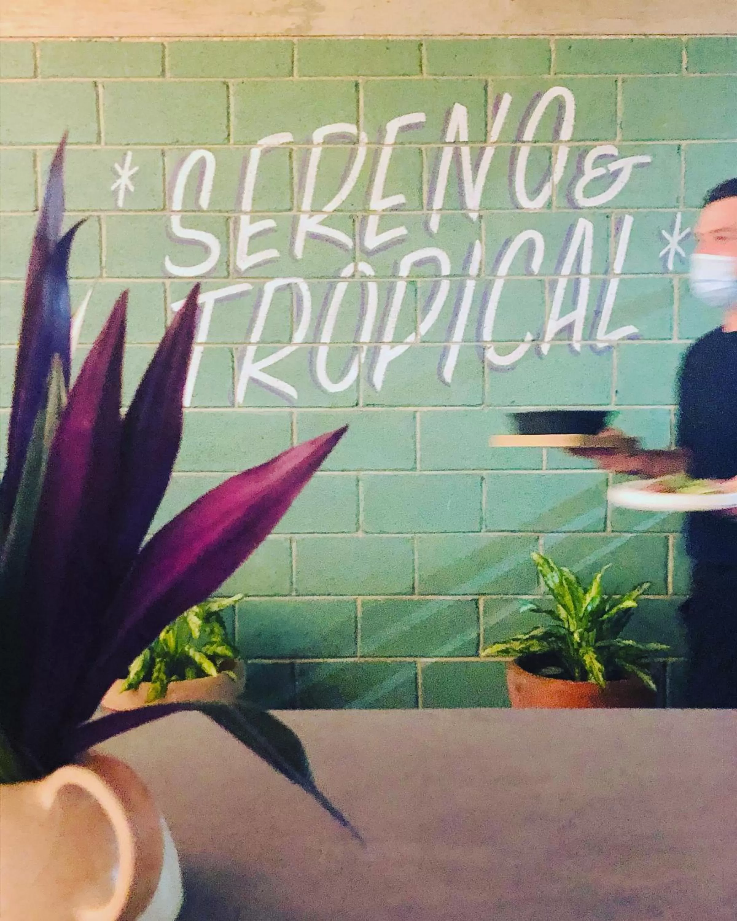 Restaurant/places to eat in Albatros by Bedsfriends