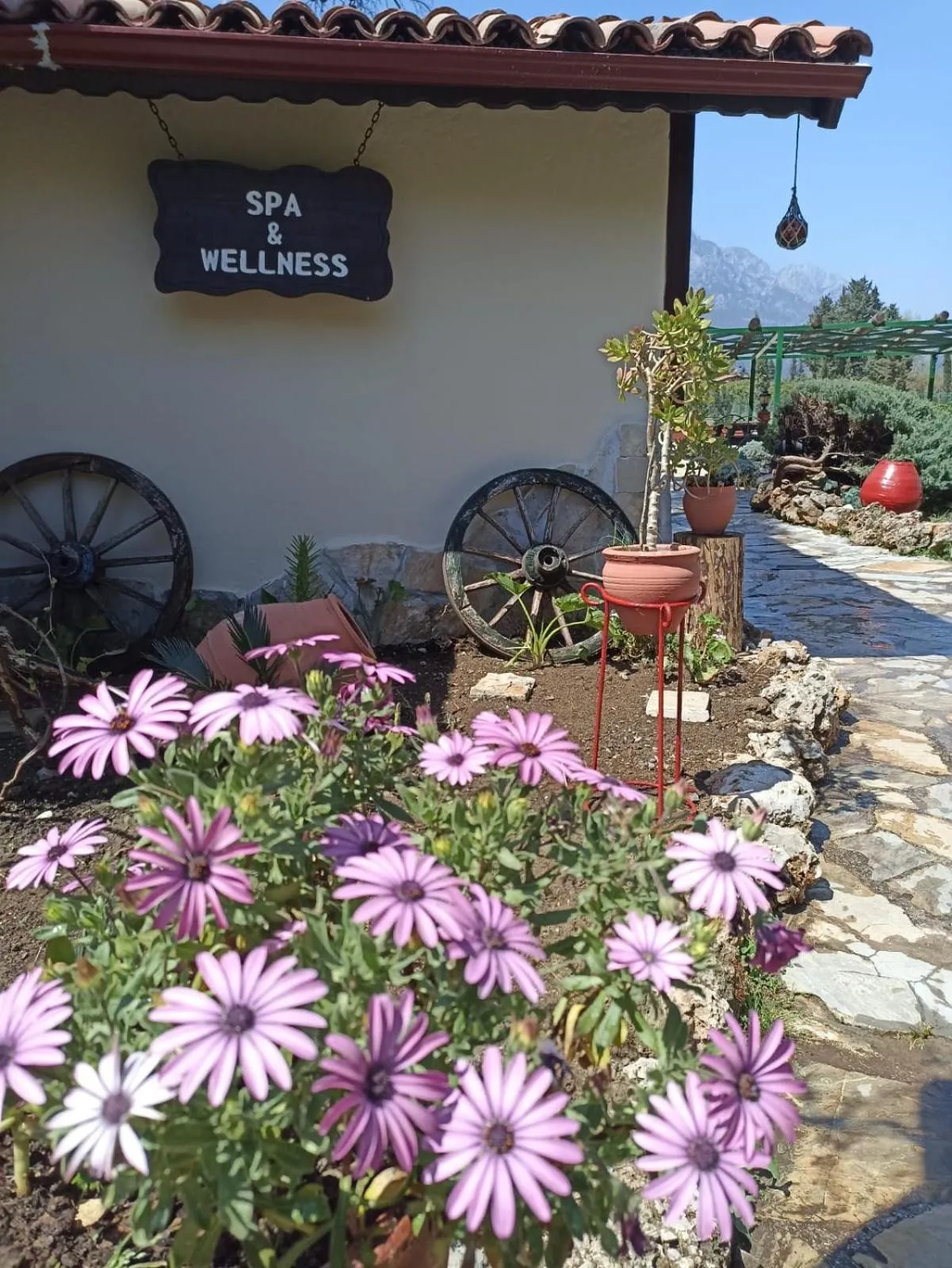 Spa and wellness centre/facilities in Hotel Berke Ranch&Nature