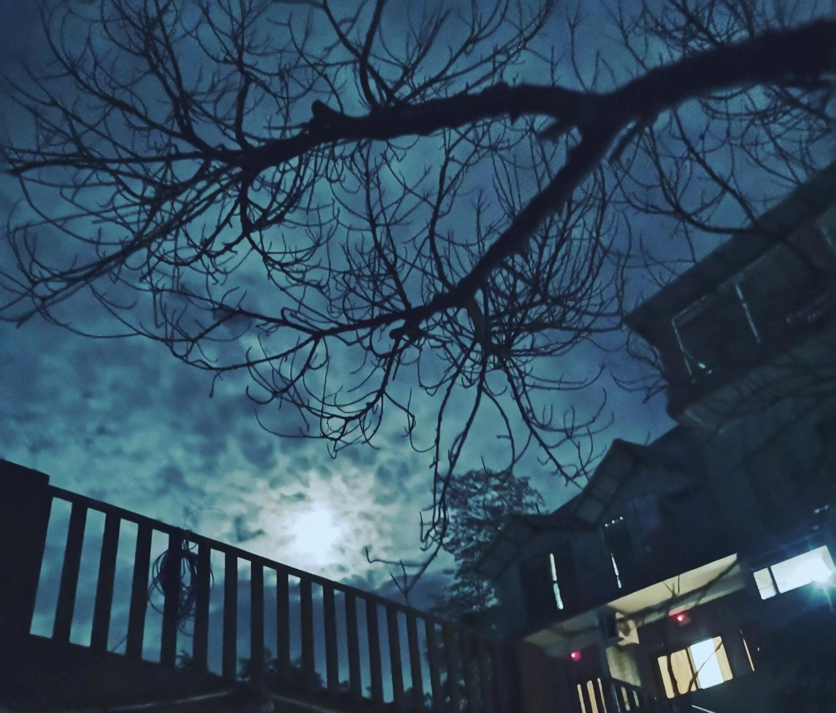 Property building in Hill Top Swiss Cottage