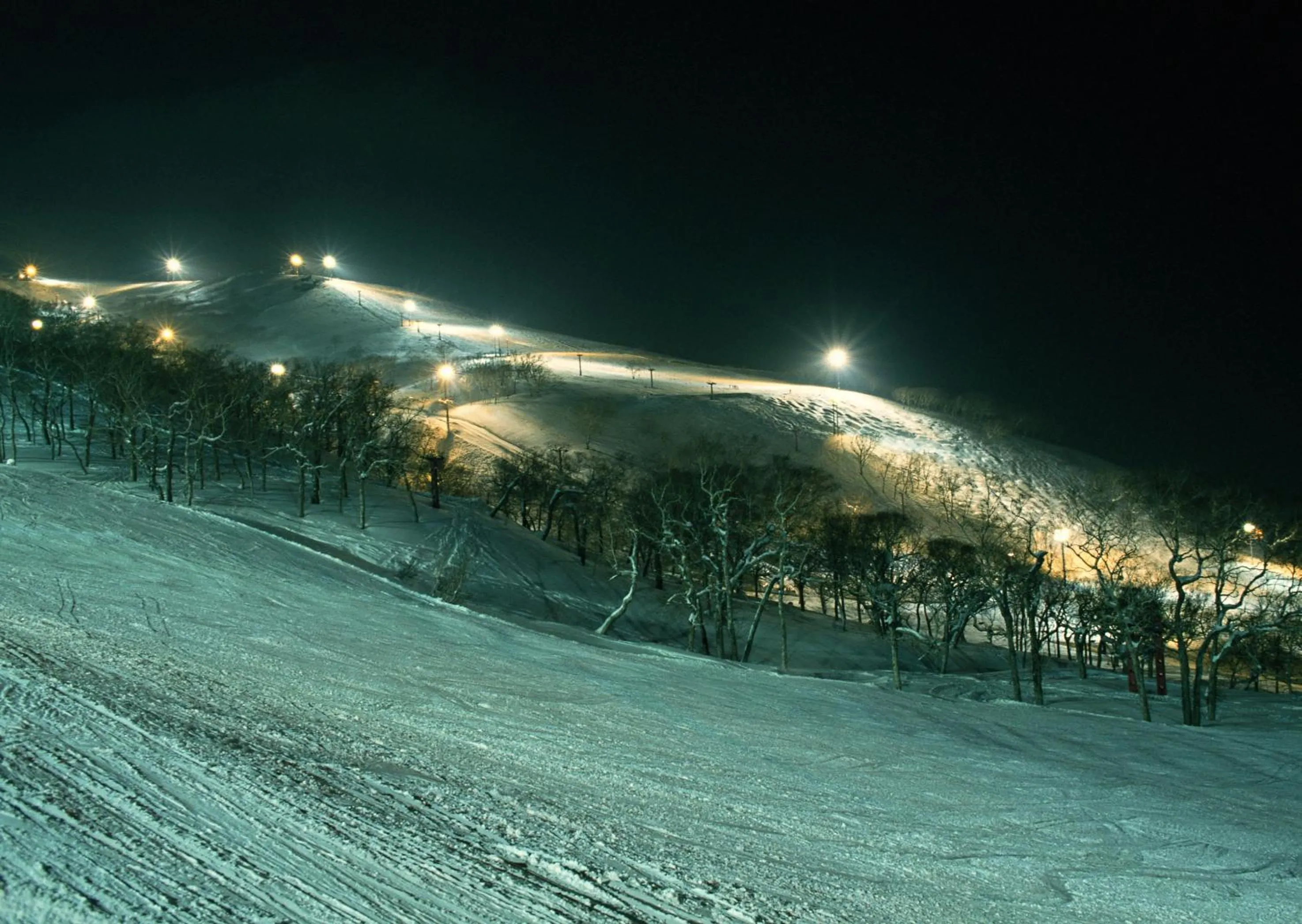 Night in Hotel Resort Inn Niseko