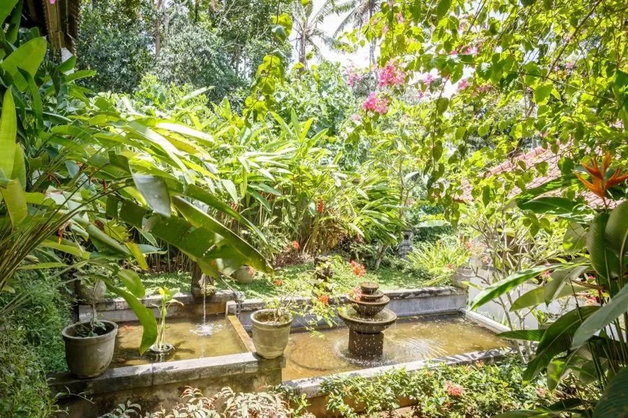 Natural landscape in White House