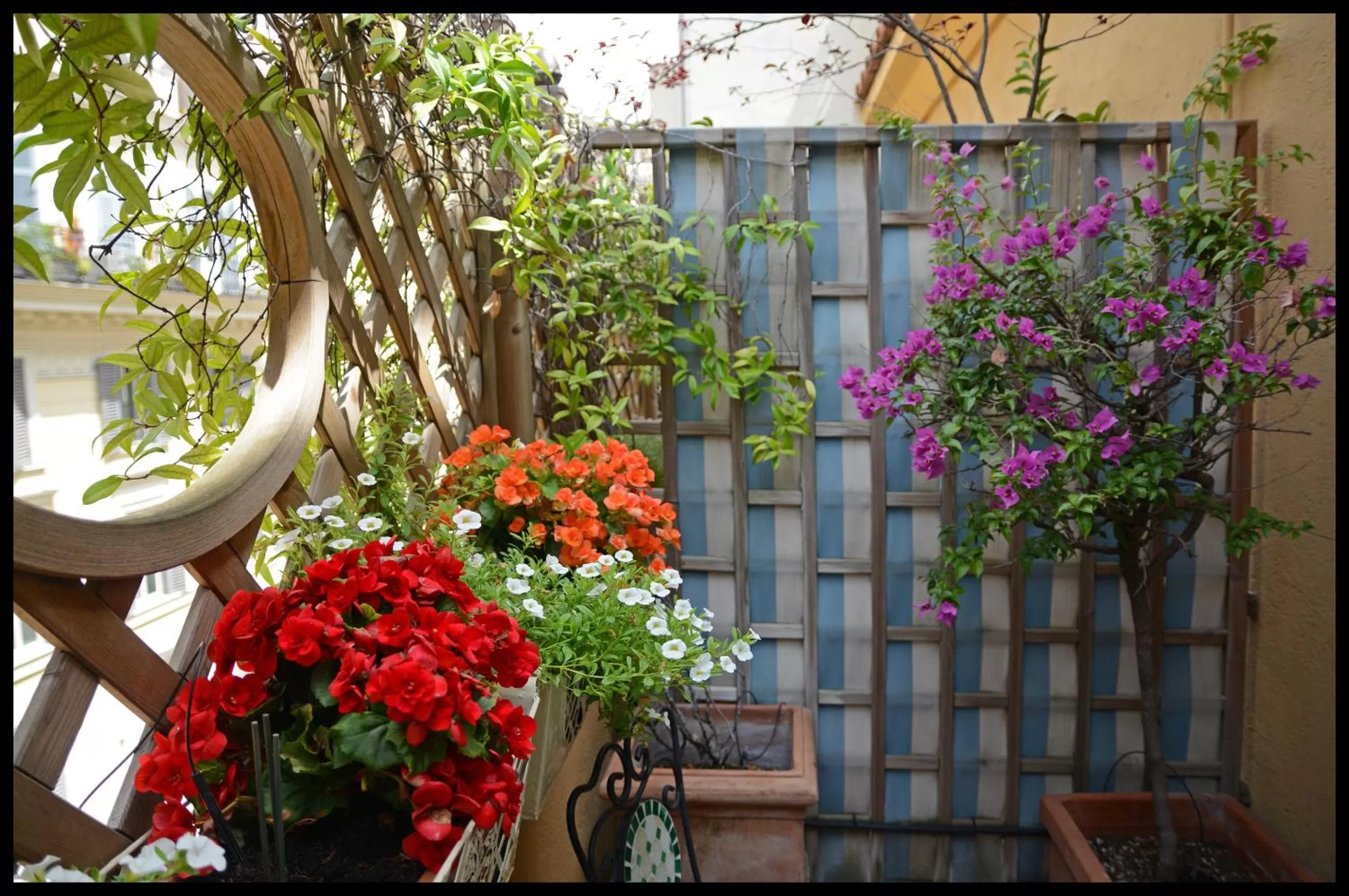 Balcony/Terrace in Lilium Boutique Hotel