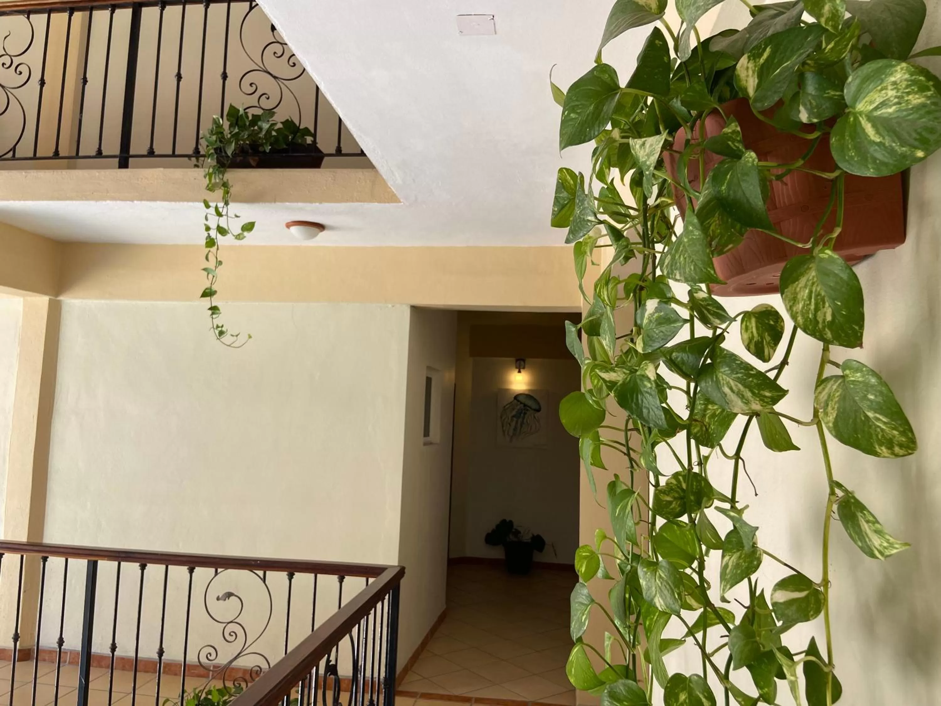 View (from property/room) in HOTEL EL CORAL