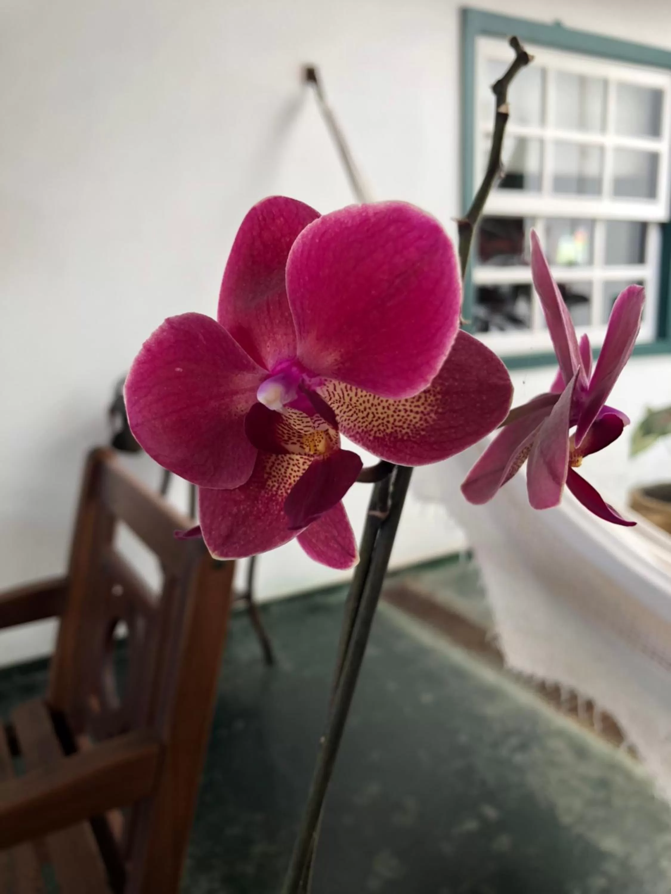 Decorative detail in Pousada Canteiros