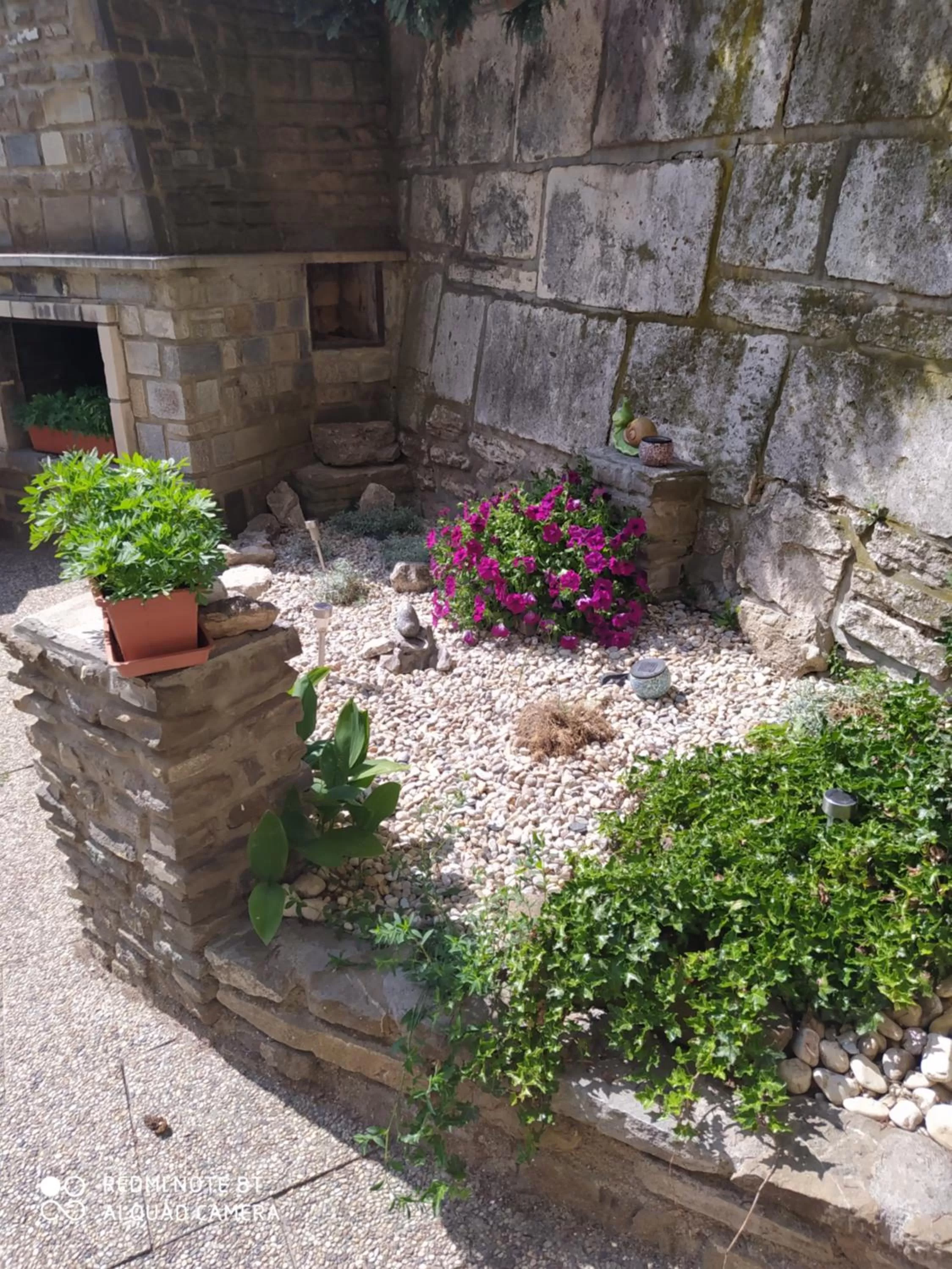 Garden in Ubytovanie Athéna