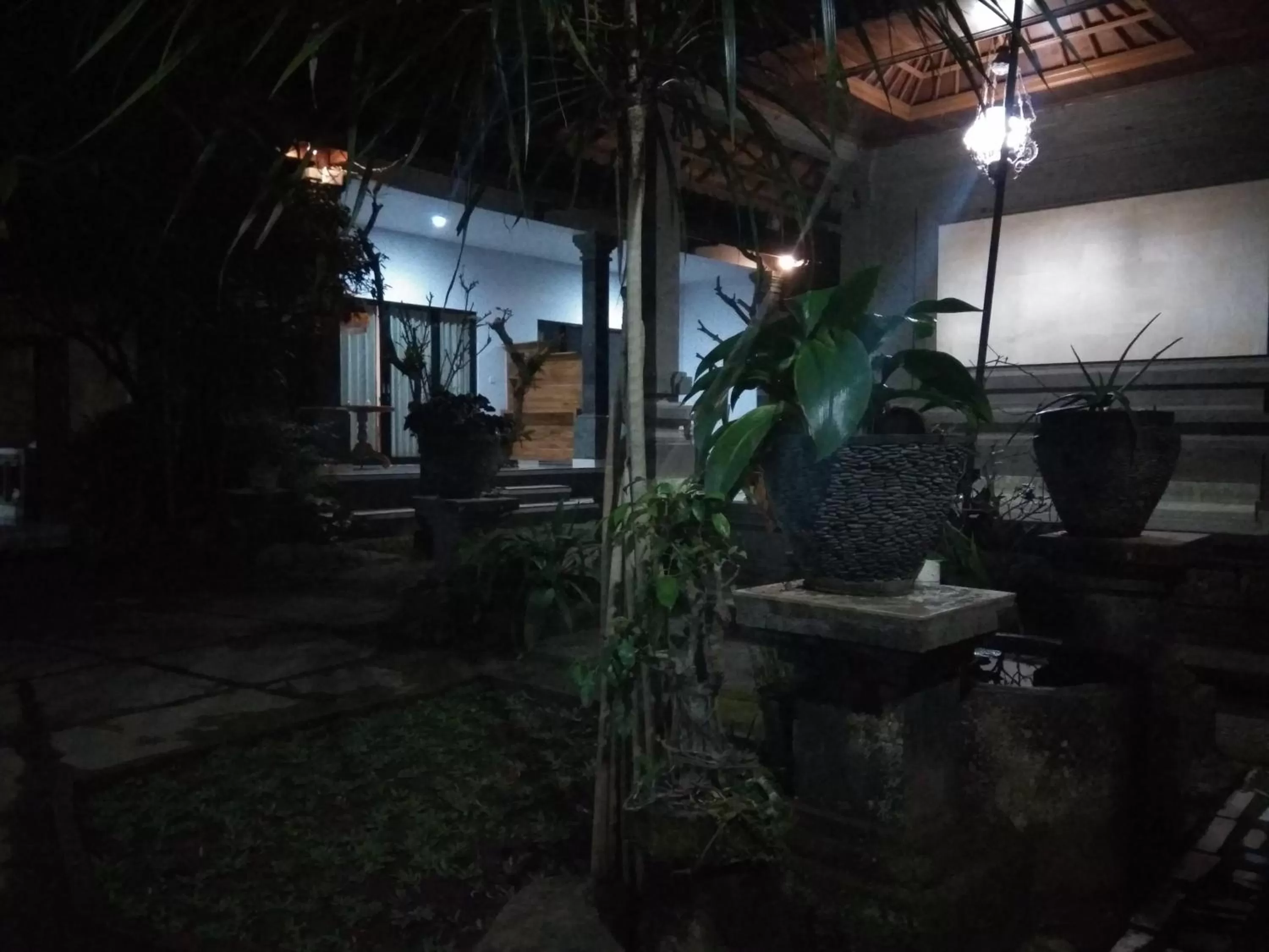 Night in The Hidden Bali Inn