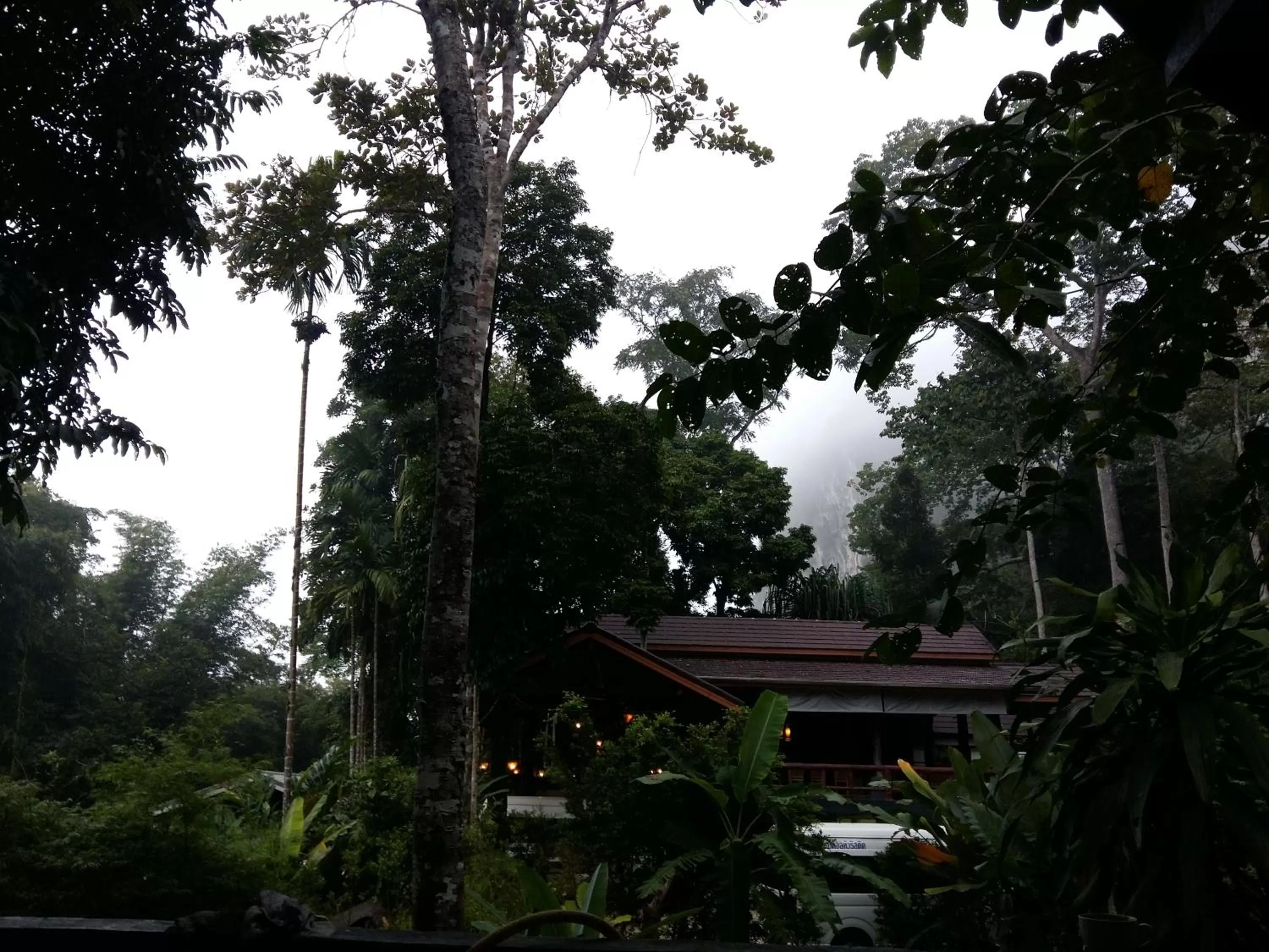 Other in Rock and Tree House Resort