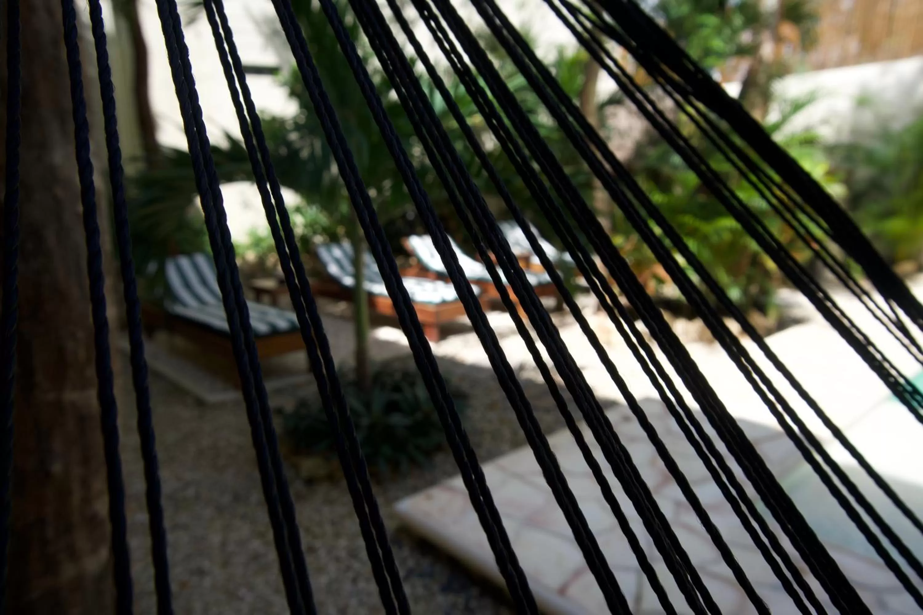 Day in Aldea San Lam - Oasis Of Tulum