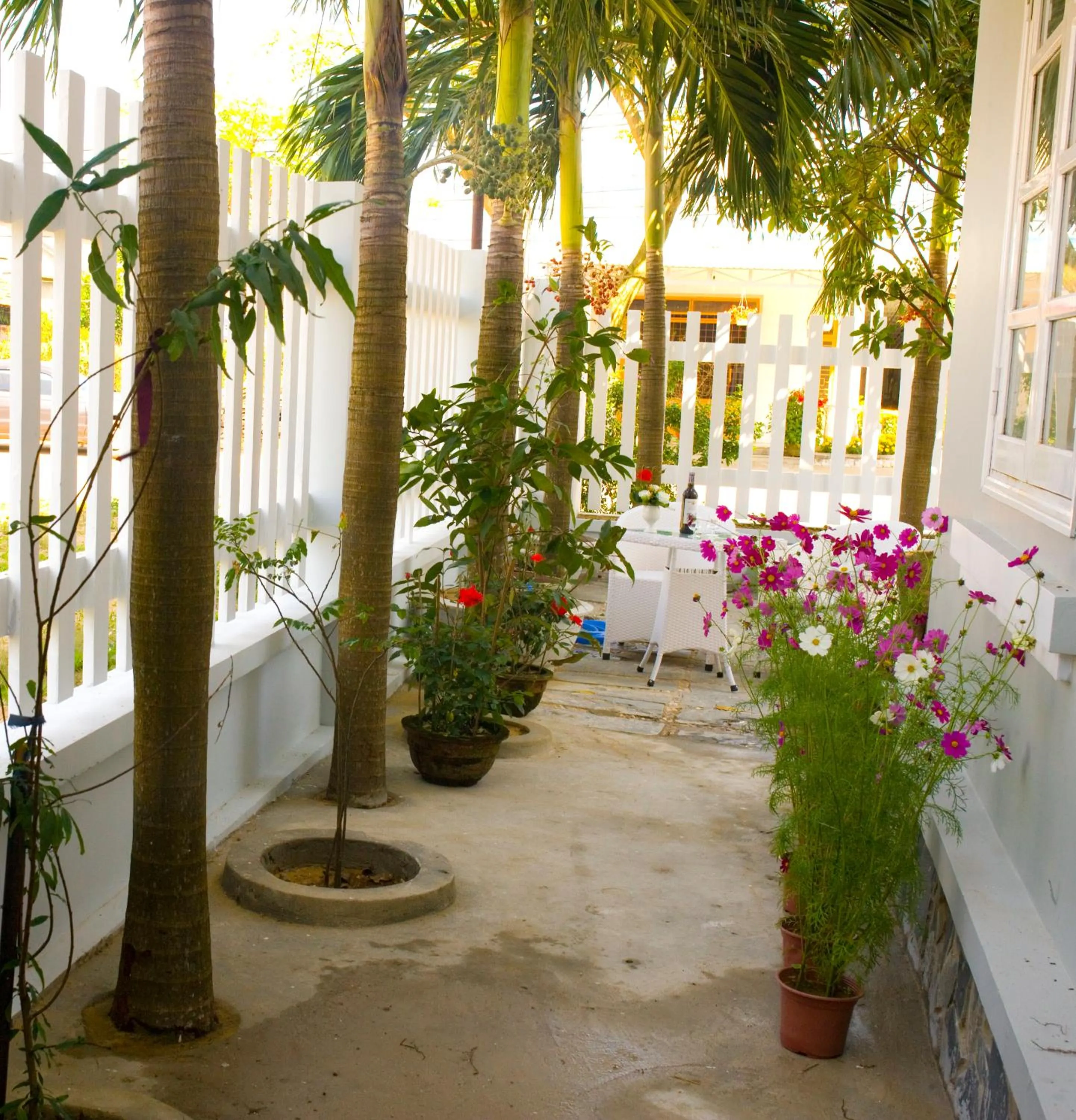 Garden in The Moon Villa Hoi An